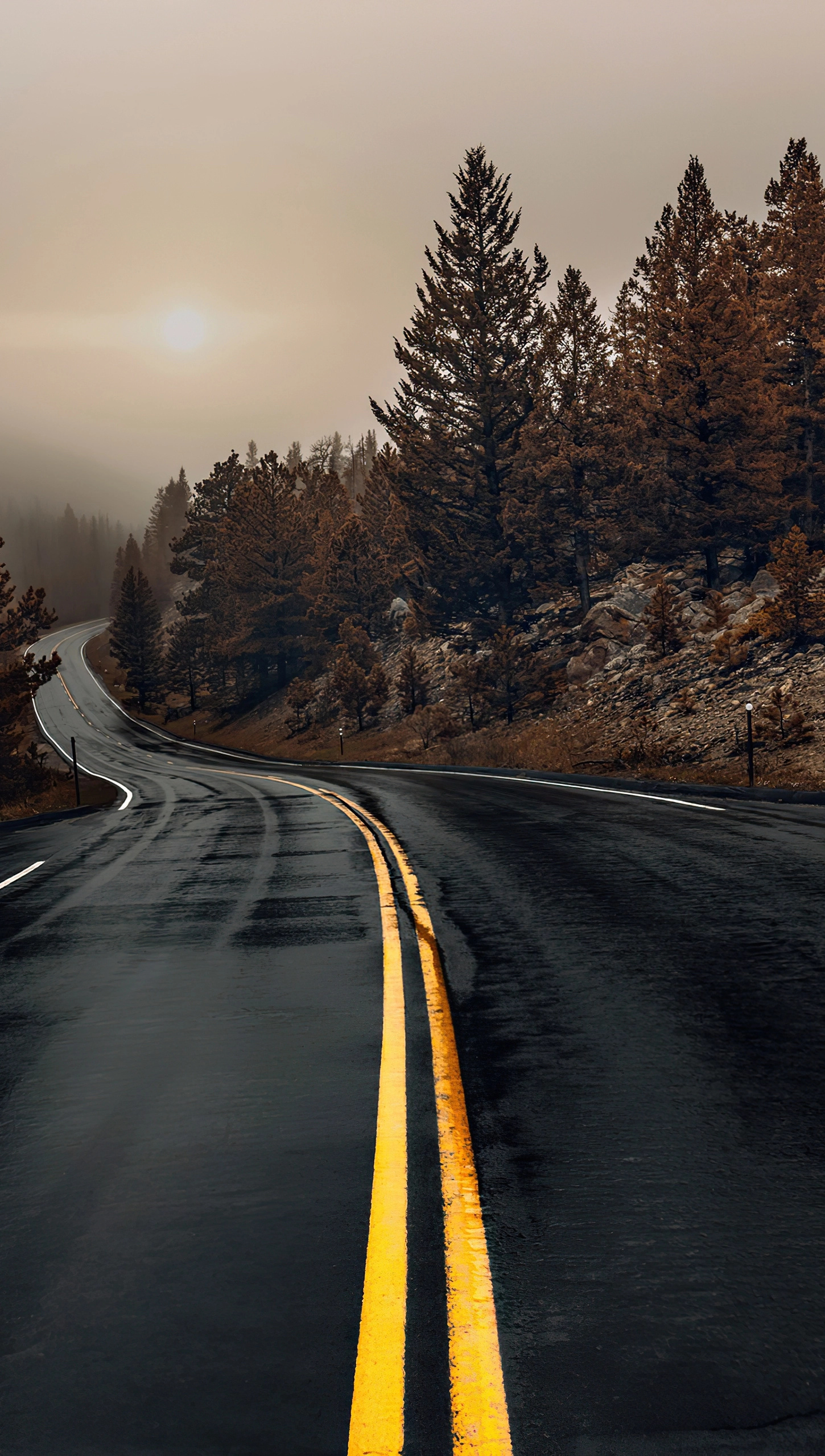 Highway in autumn wallpaper, Ultra HD, 1450x2560 HD Phone