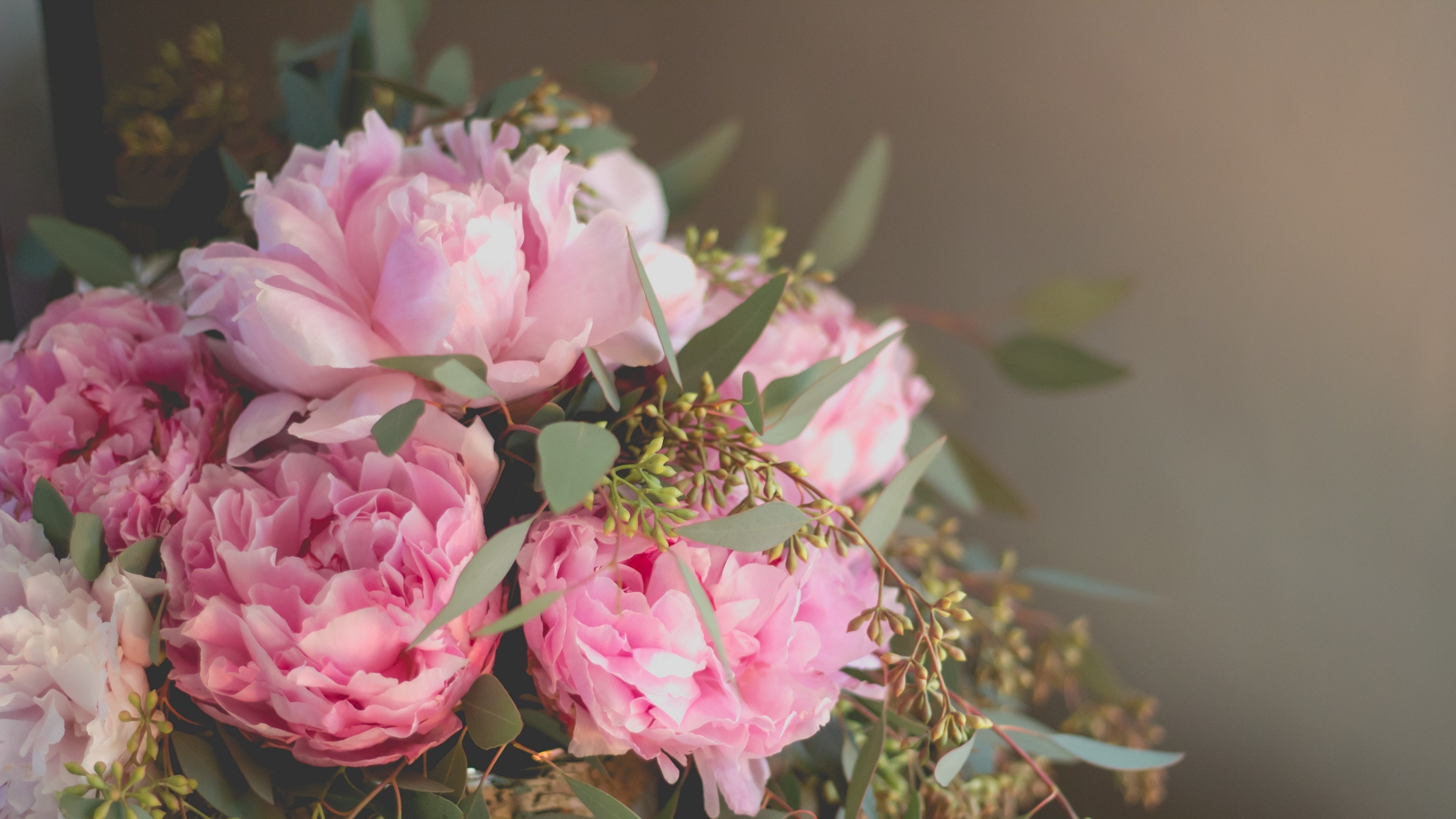 Pink peony bouquet, Seeded eucalyptus sprigs, Warm brown backdrop, 4K Desktop wallpaper