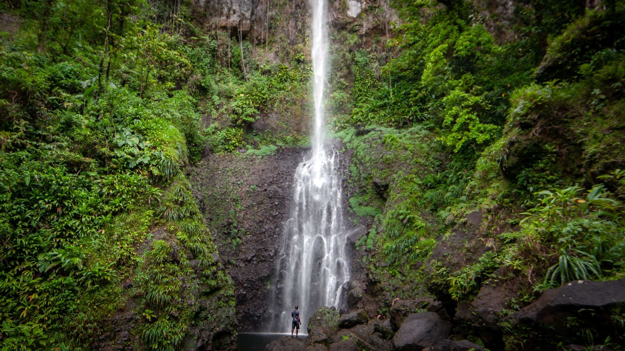 Dominica Island, Untamed wilderness, Nature's playground, Enchanting discovery, 2050x1160 HD Desktop