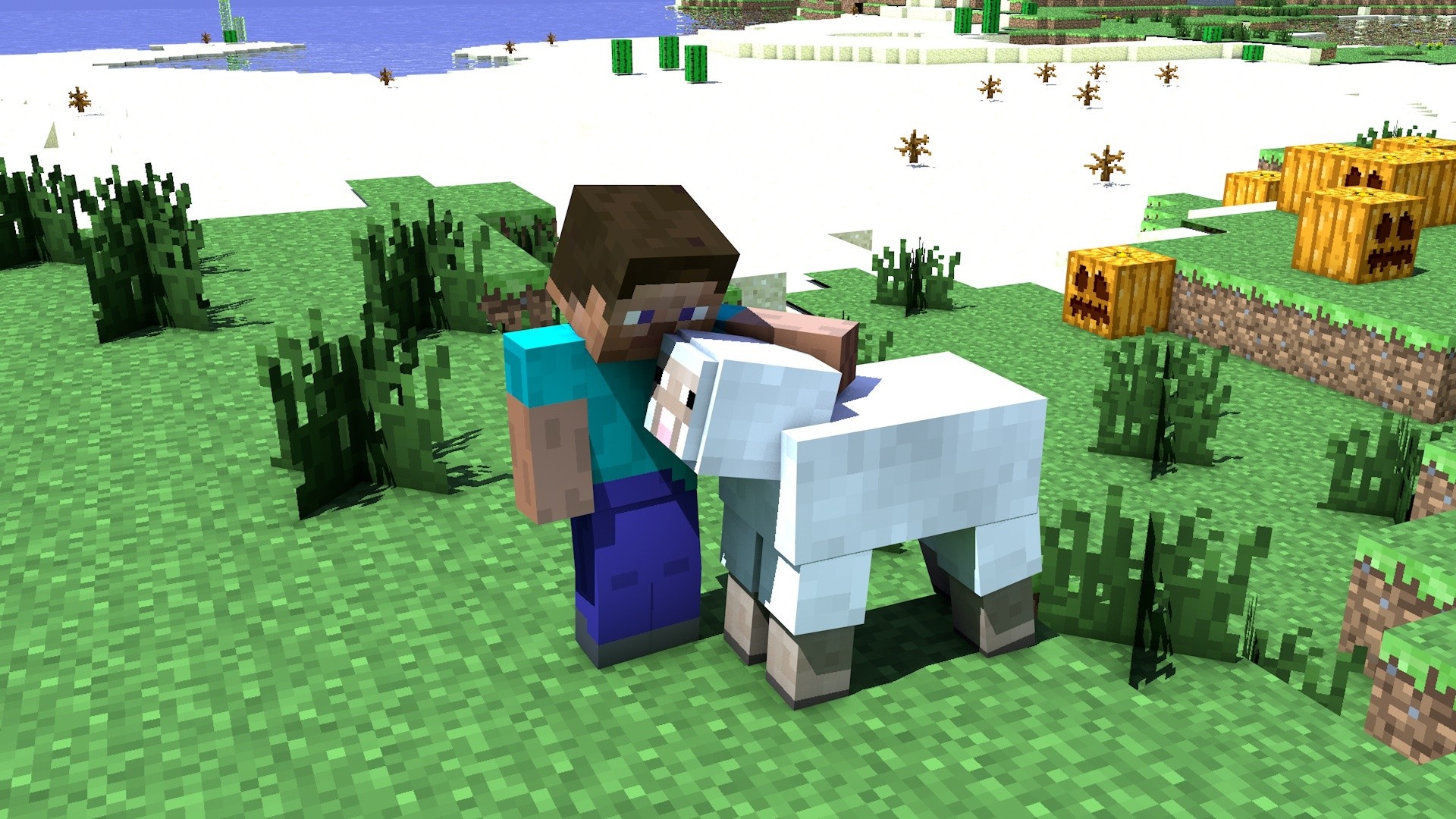 Steve, Minecraft sheep, Minecraft jack-o'-lanterns, Full HD Desktop wallpaper
