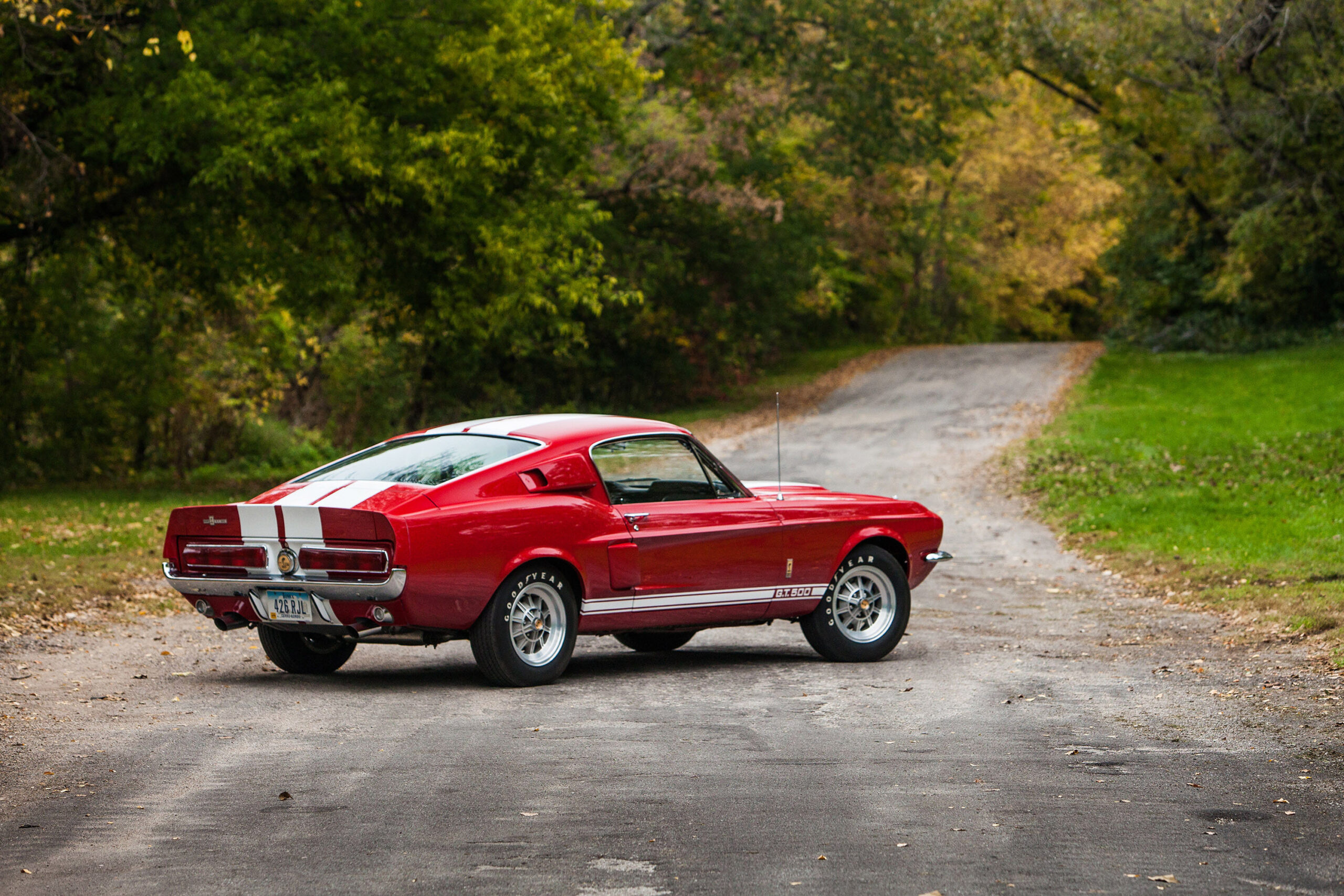 1967 Ford Mustang Shelby GT500, Paved country road, Autumn tree foliage, HD Desktop wallpaper