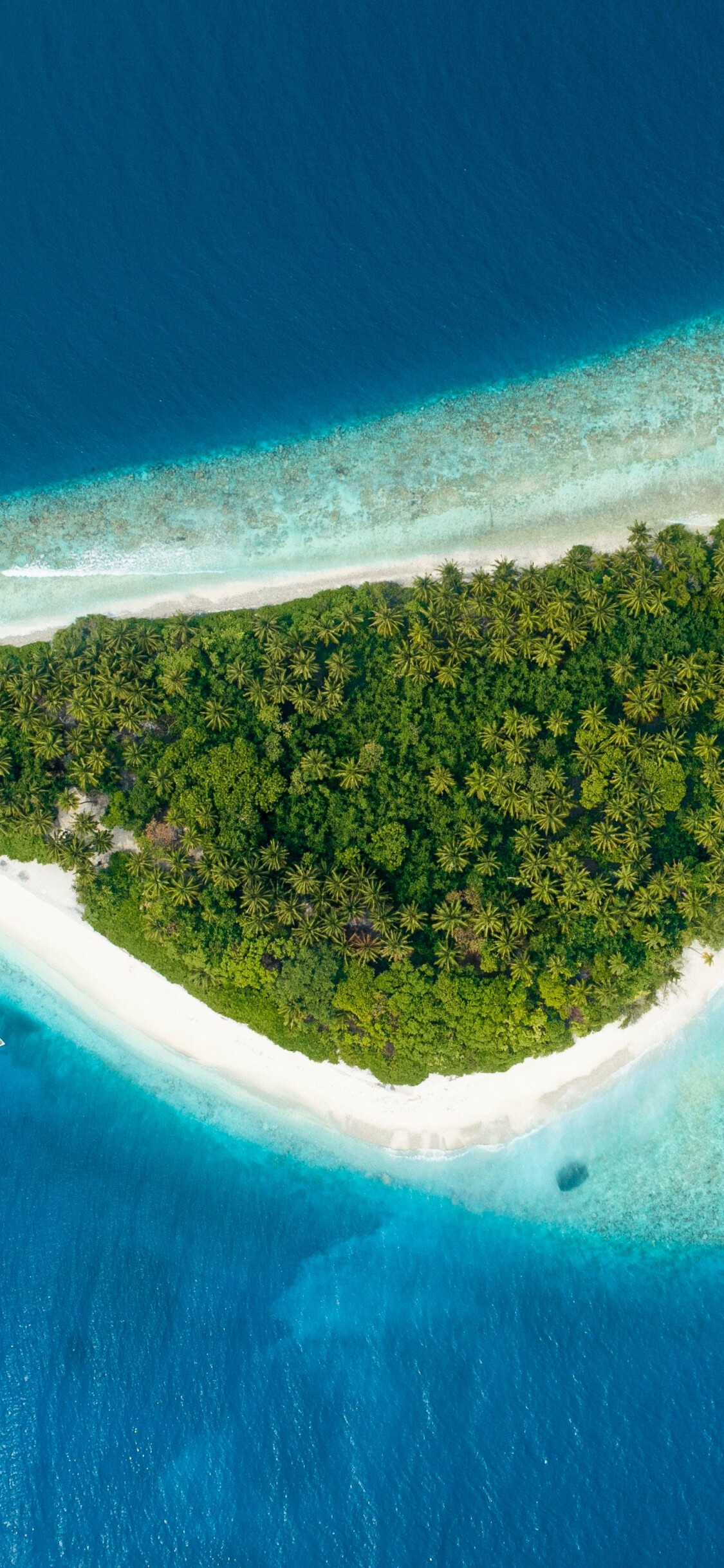 Aerial shot, Tropical island, Sea view, iPhone x background, 1130x2440 HD Phone