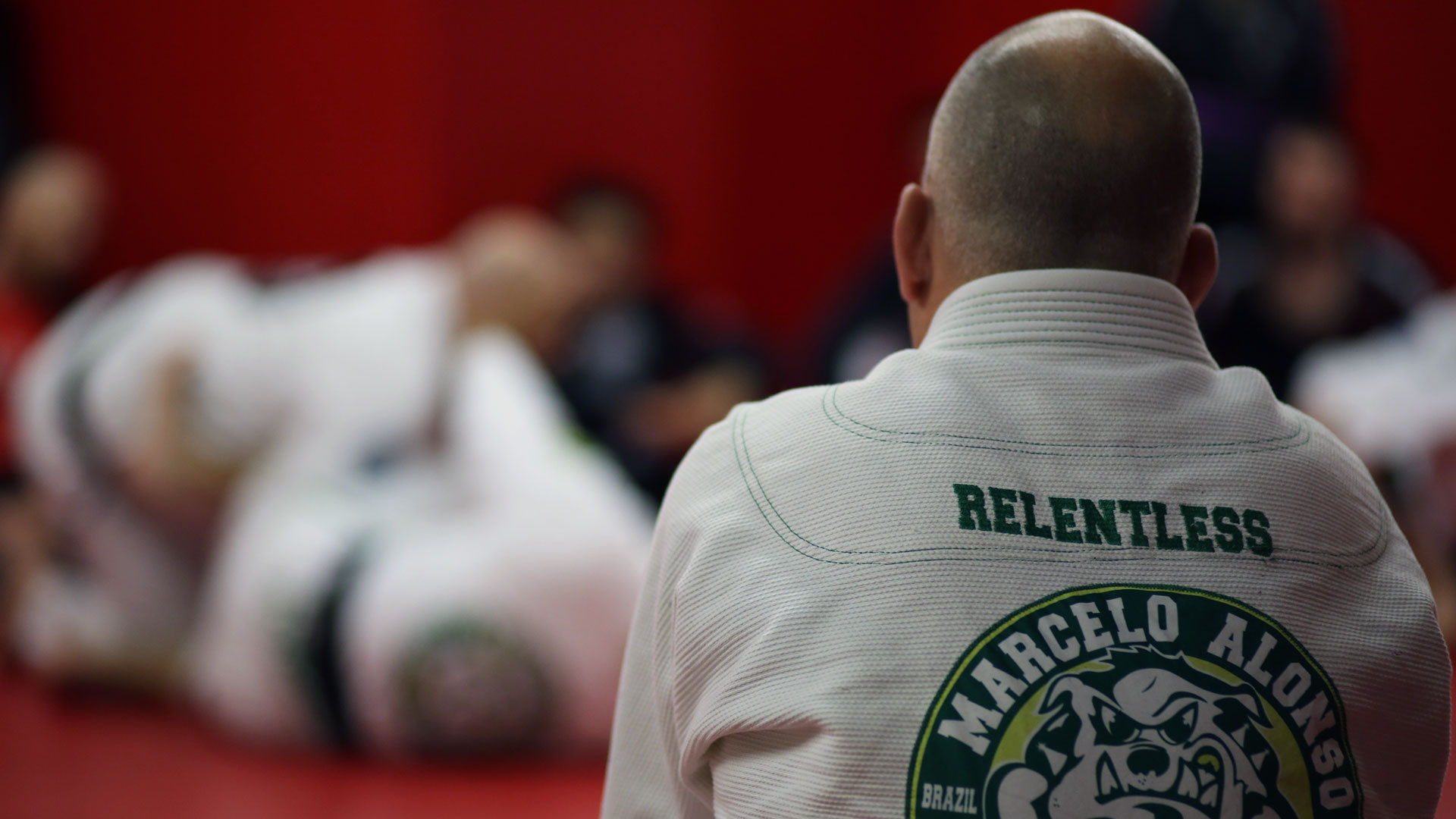 Jiu-jitsu expertise, Marcelo Alonso legacy, Brazilian technique, Digital media success, 1920x1080 Full HD Desktop
