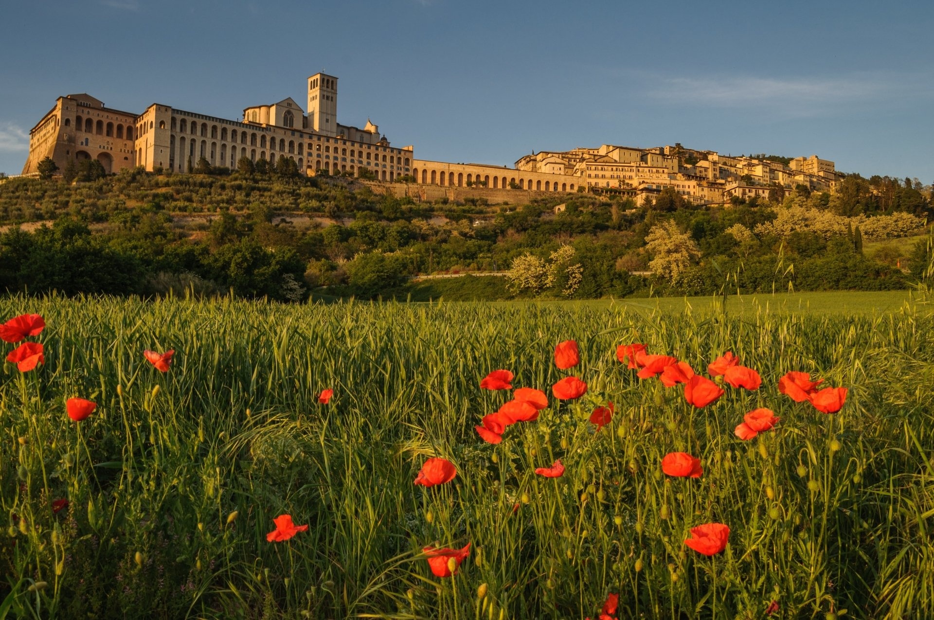 Assisi HD wallpapers, Backgrounds, 1920x1280 HD Desktop