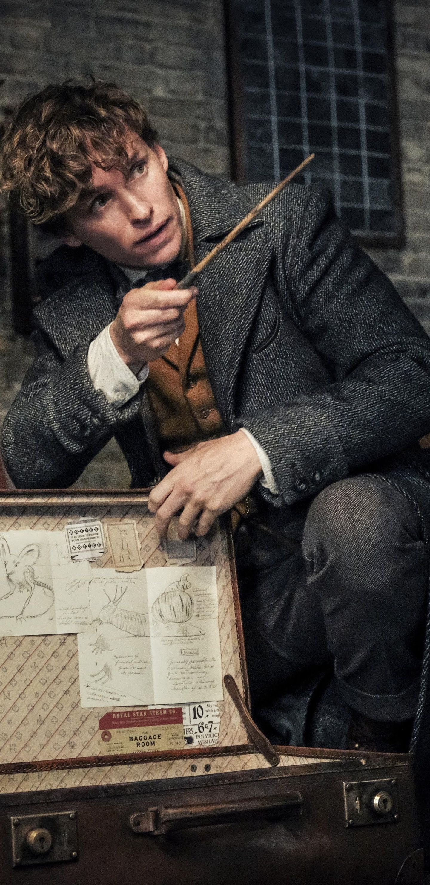 Eddie Redmayne, Newt Scamander, Poster, 1440x2960 HD Phone