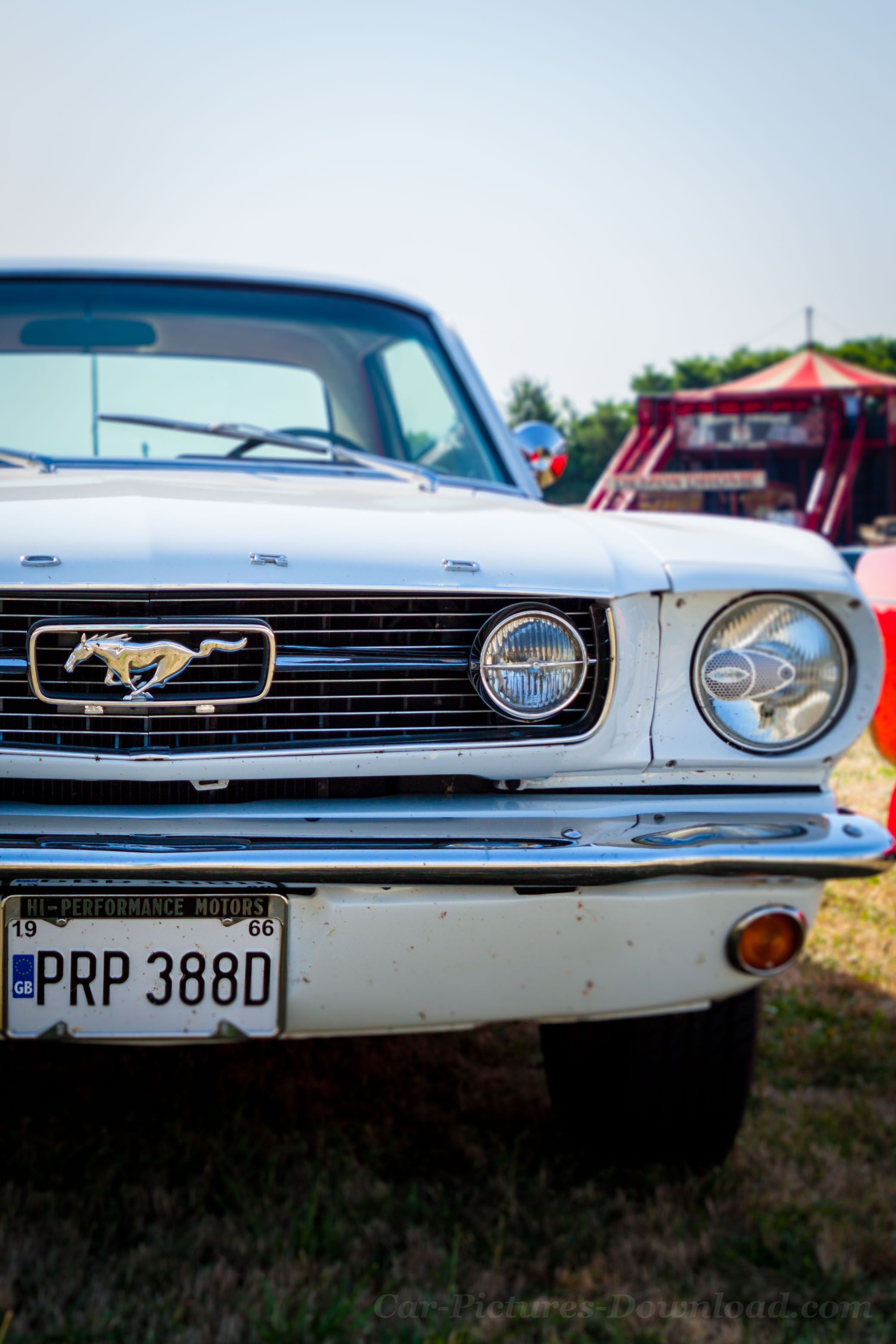 1966 Ford Mustang, PRP 388D license plate, Mustang running pony emblem, HD Phone wallpaper