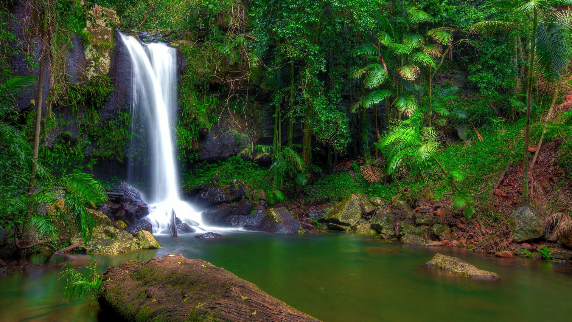 Tropical splendor, Cascading waterfalls, Lush vegetation, Serene rocks, 1920x1080 Full HD Desktop