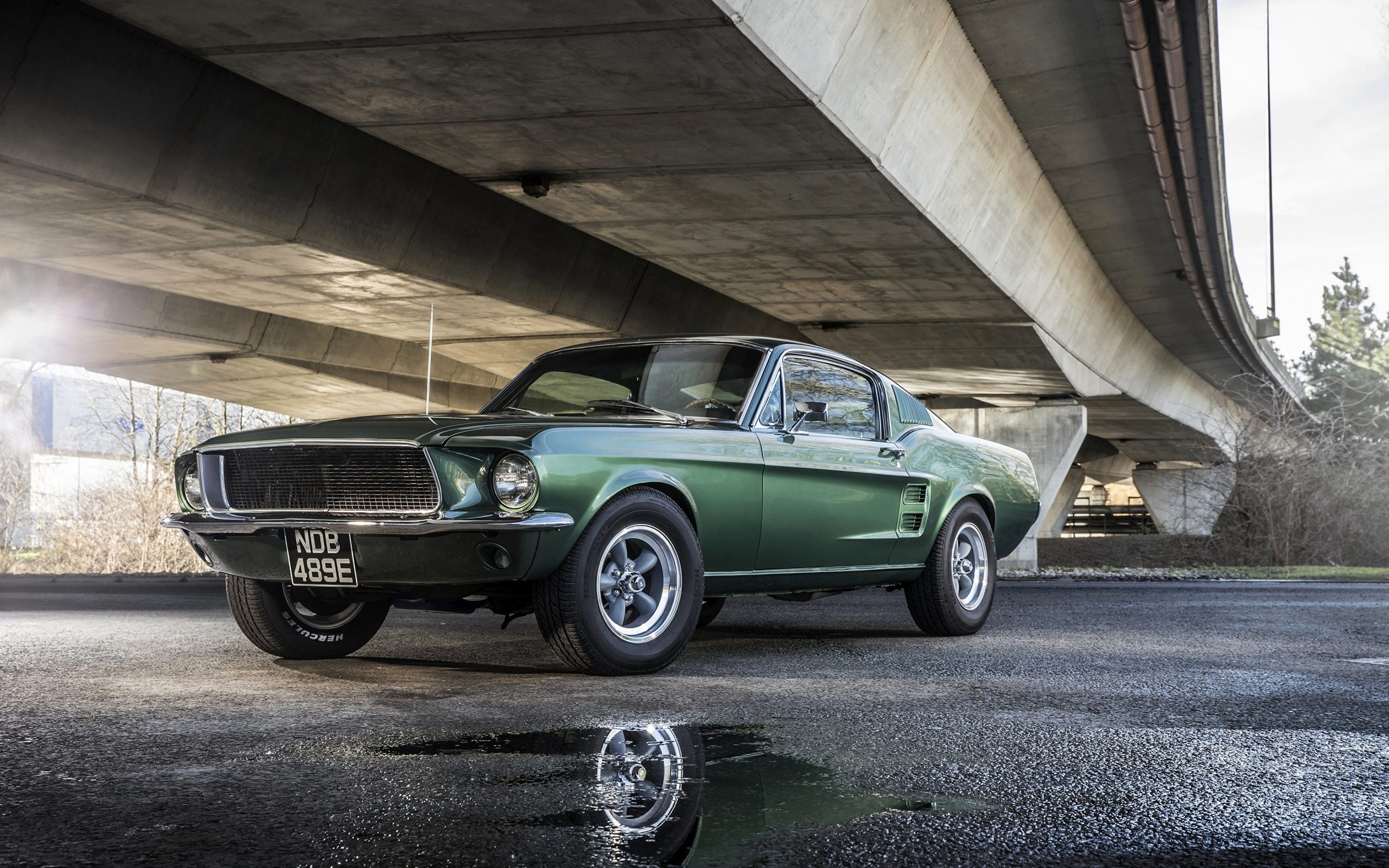 1967 Ford Mustang Fastback, Concrete highway overpass, Wet asphalt reflection, HD Desktop wallpaper