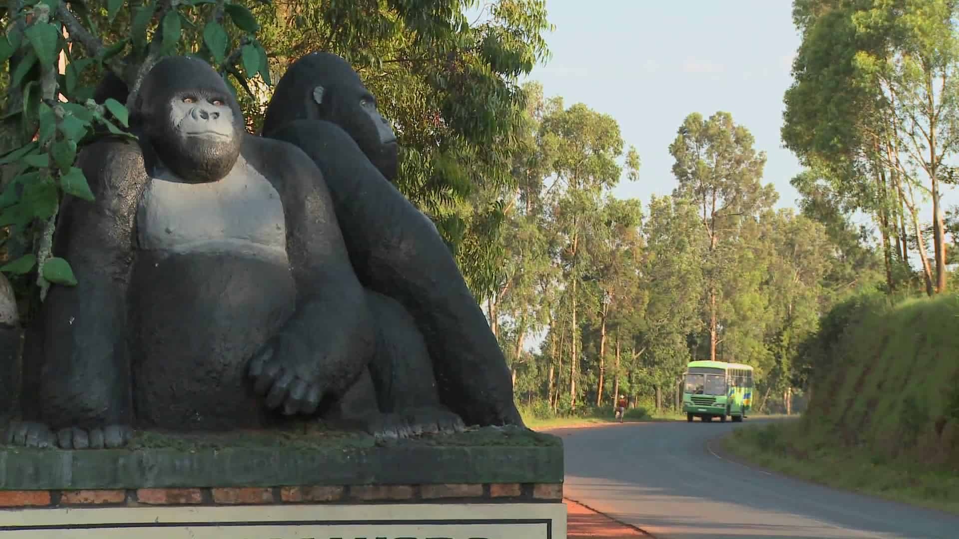 Virunga National Park, Activity fees, Tourism, Congo, 1920x1080 Full HD Desktop