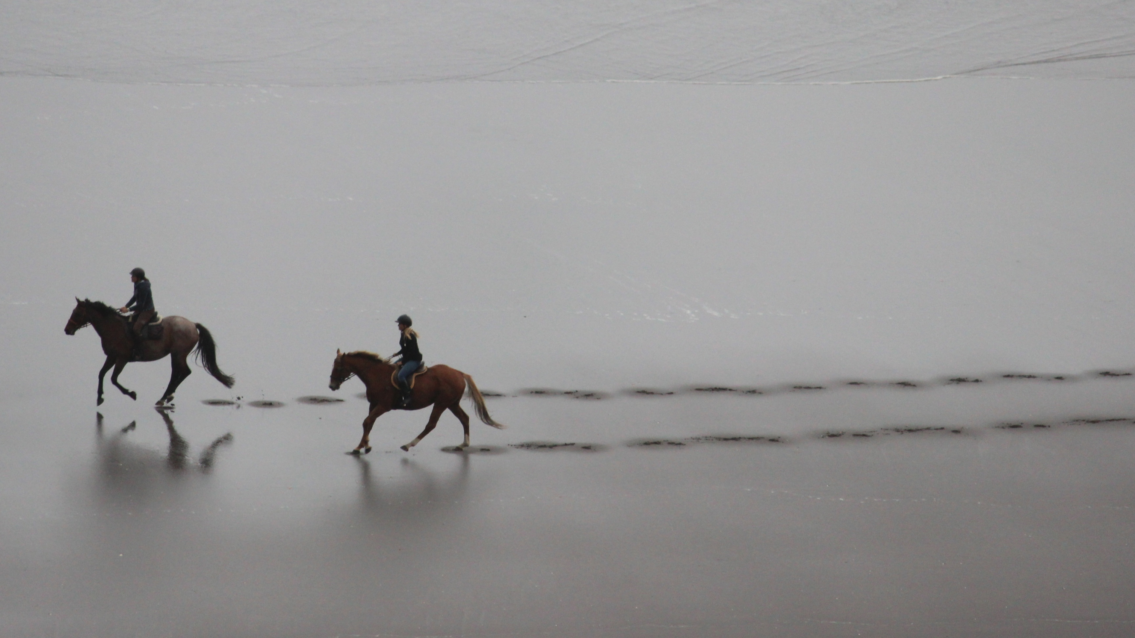 Equitation sports, Riding ultra HD, Desktop wallpaper, Smartphone, 3840x2160 4K Desktop