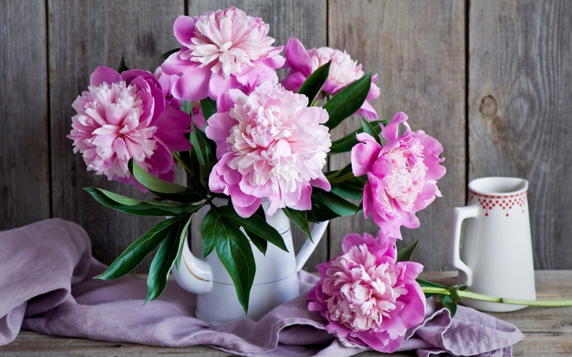 Pink peony bouquet, White enamel watering can, Red-dotted ceramic pitcher, Lilac linen cloth, Grey barn wood wall, HD Desktop wallpaper