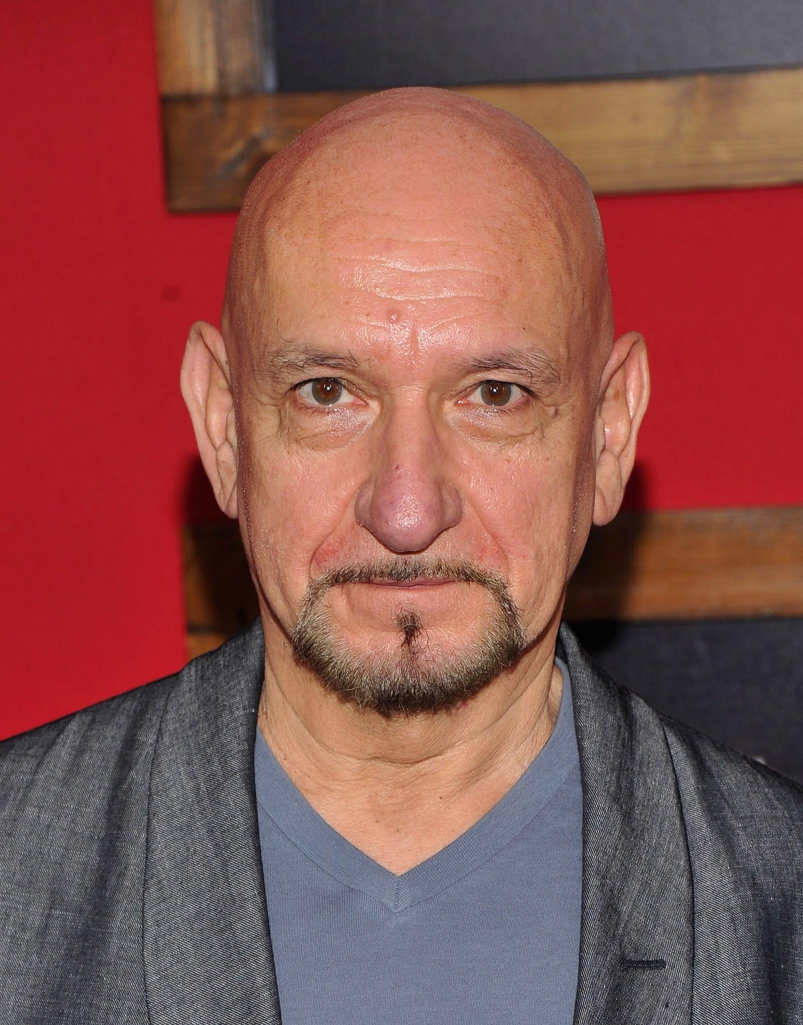 Ben Kingsley, Free desktop backgrounds, 1610x2050 HD Phone