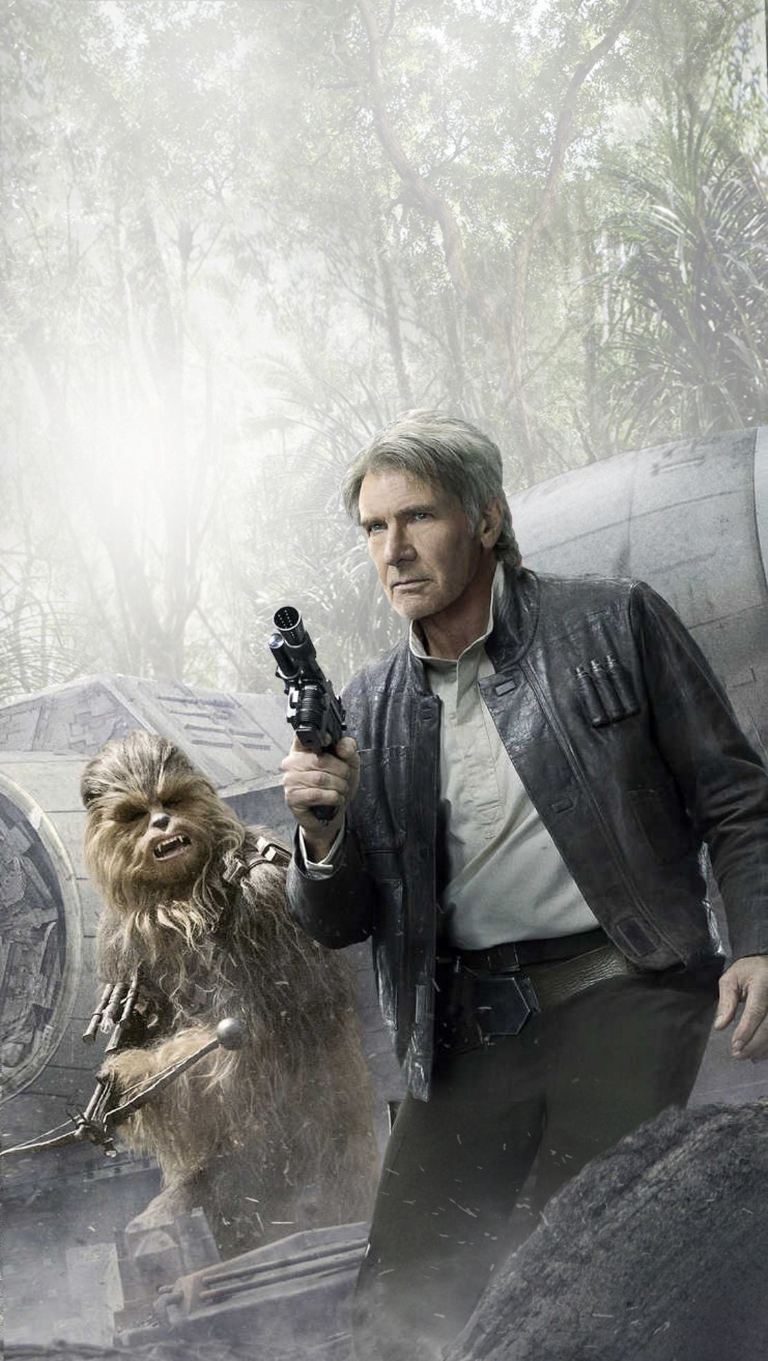 Chewie, Star Warshan, Wookiee, Movies, 1120x1980 HD Phone