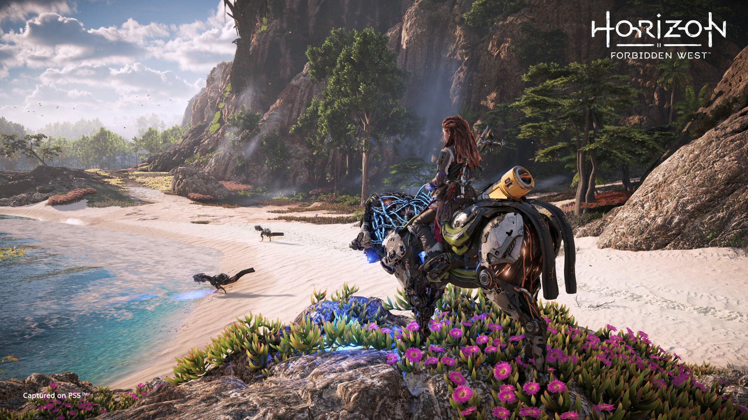 Horizon Forbidden West, Main story length, Comparison to Horizon Zero Dawn, Exciting narrative, 2560x1440 HD Desktop