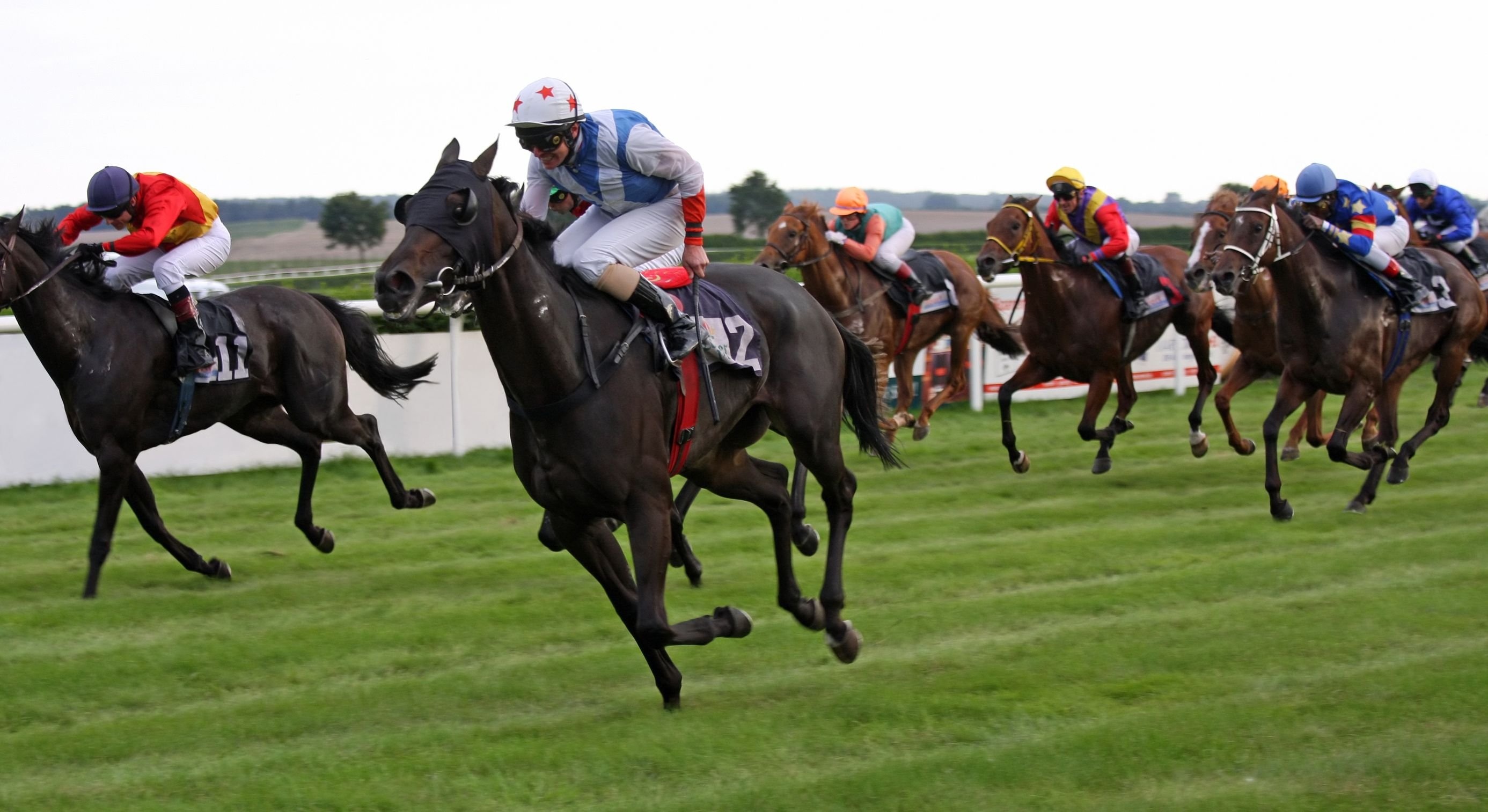Horse Racing, Race Equestrian Sports, Jockey Horses, 2780x1520 HD Desktop