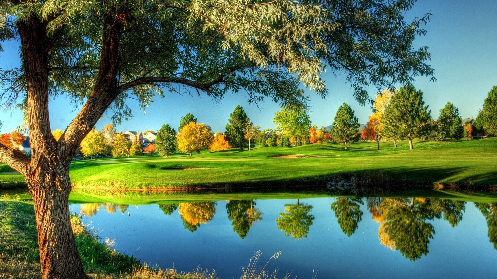 Lake, Go Green Wallpaper, 1920x1080 Full HD Desktop