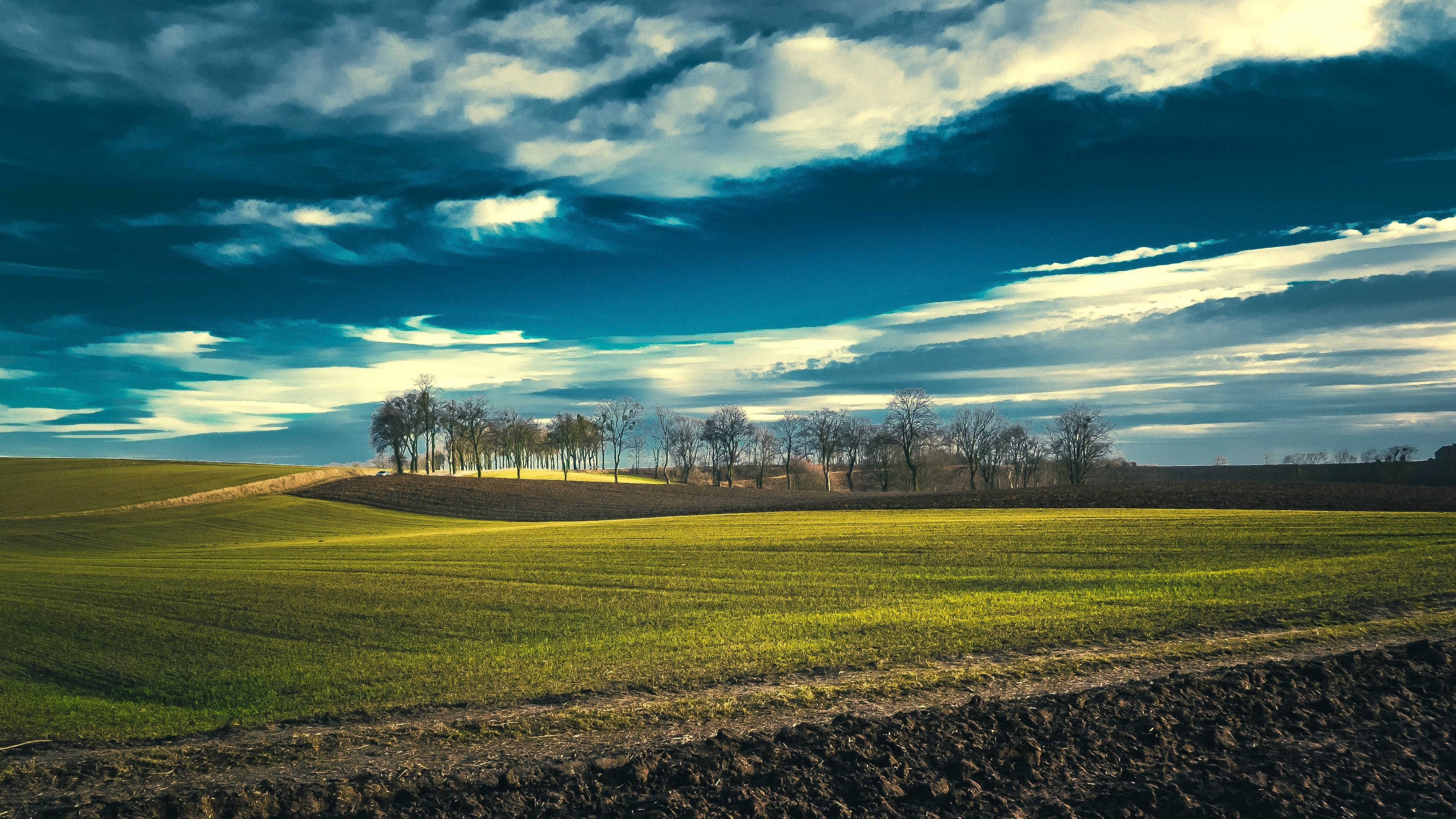 rolling green farmland, bare deciduous tree line, dramatic blue cloudy sky, 4K Desktop wallpaper