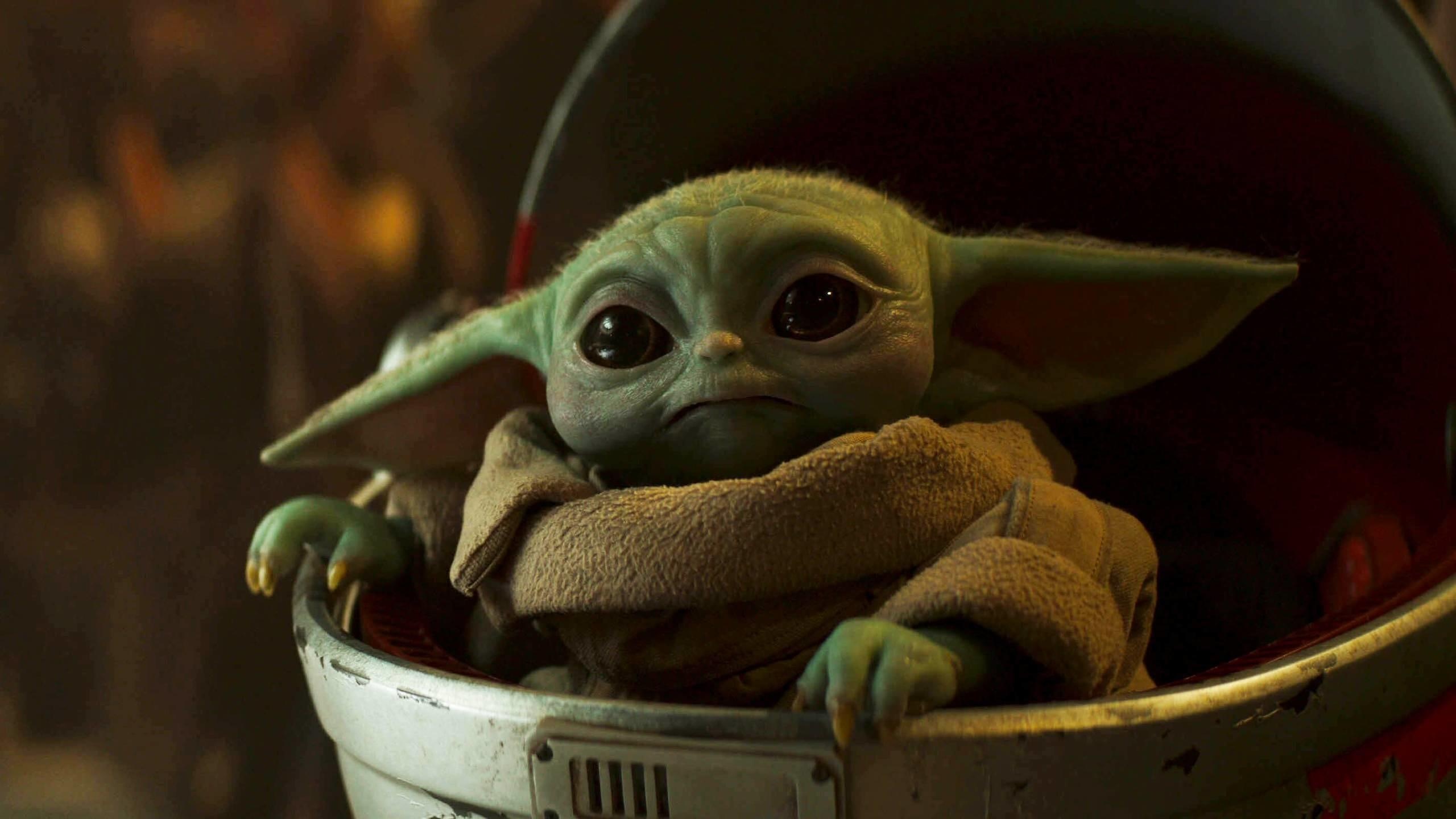 Giancarlo Esposito defends Baby Yoda, Controversial eggs, Film character, Entertainment news, 2560x1440 HD Desktop