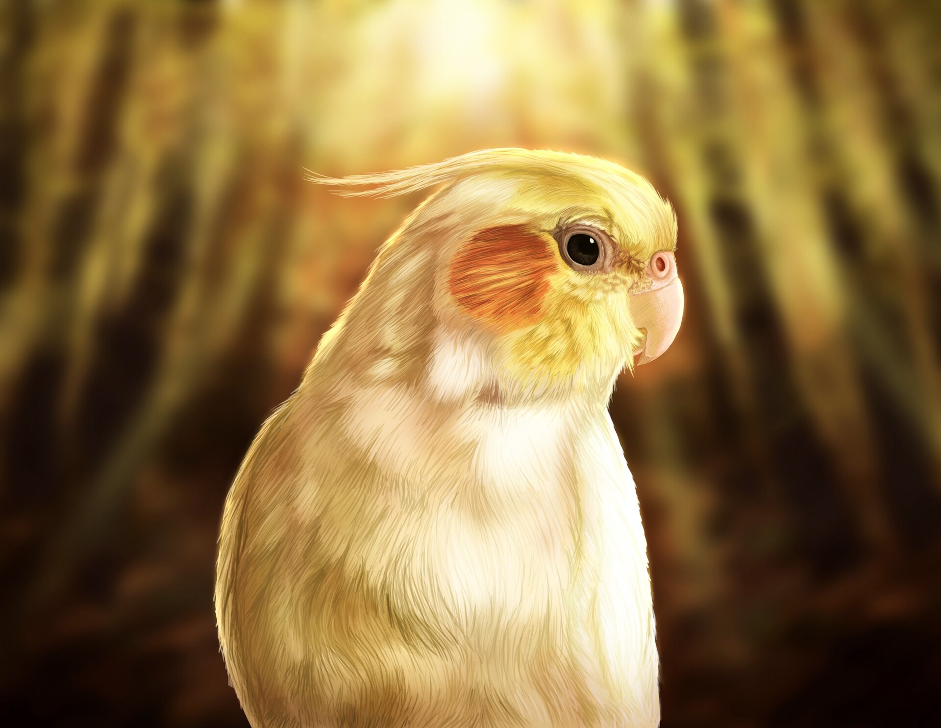 Creative widget the cockatiel, Artistic bird illustrations, Cockatiel-inspired artwork, Avian creativity, 1920x1490 HD Desktop