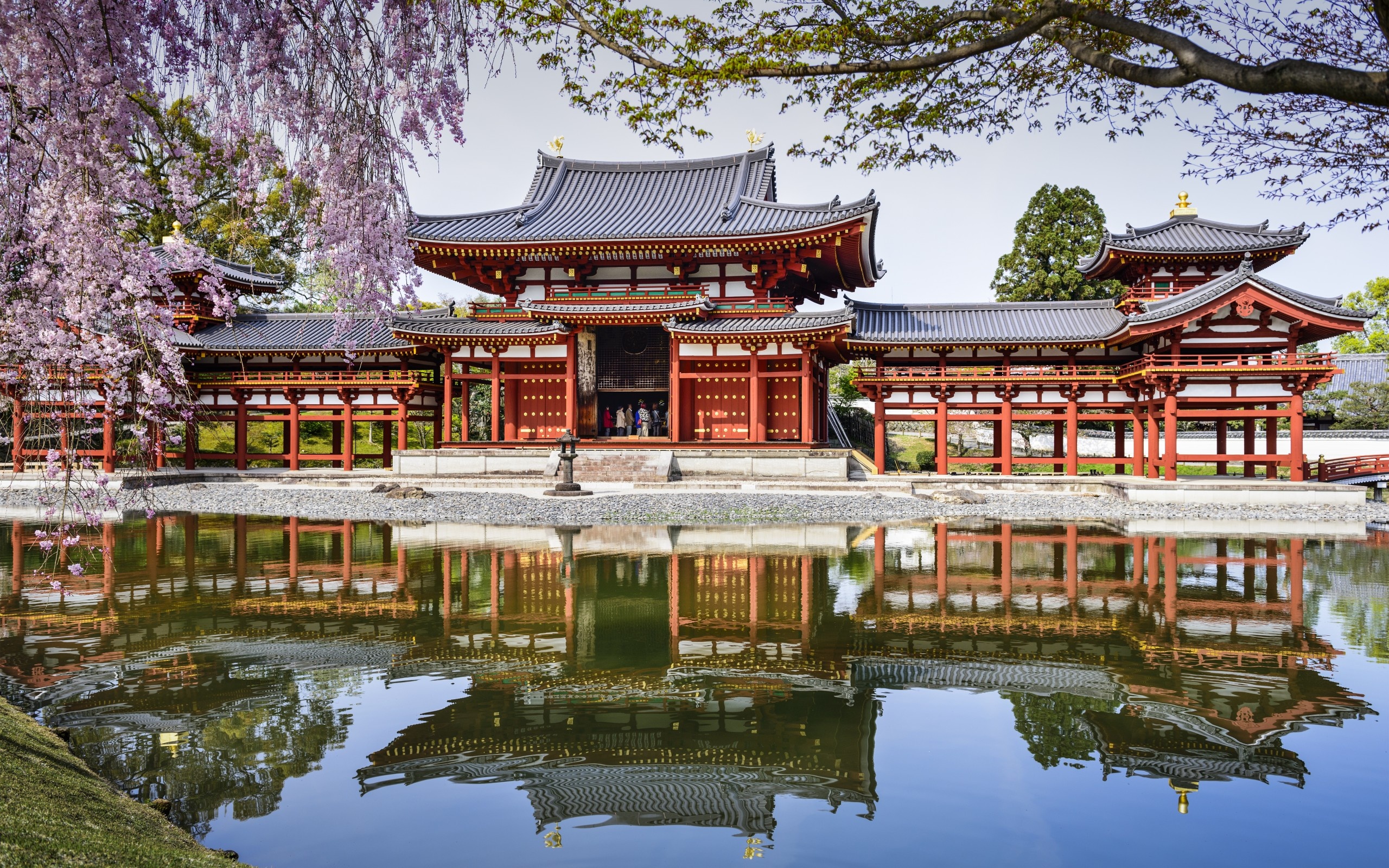 Byodo-In Temple, Kyoto Wallpaper, 2560x1600 HD Desktop