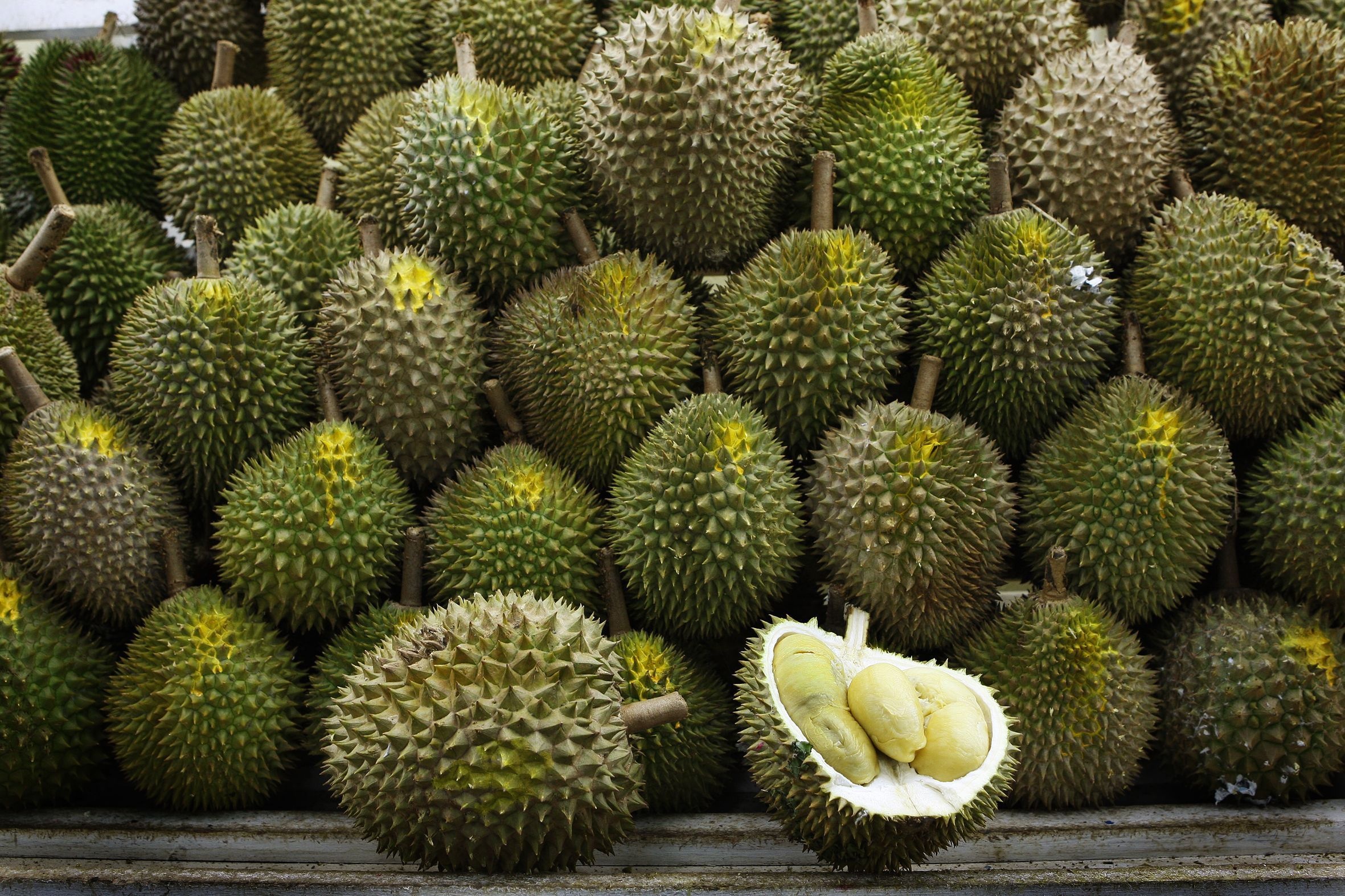 Impressive durian wallpapers, Stunning backgrounds, Visual feast, Fruit showcase, 2370x1580 HD Desktop