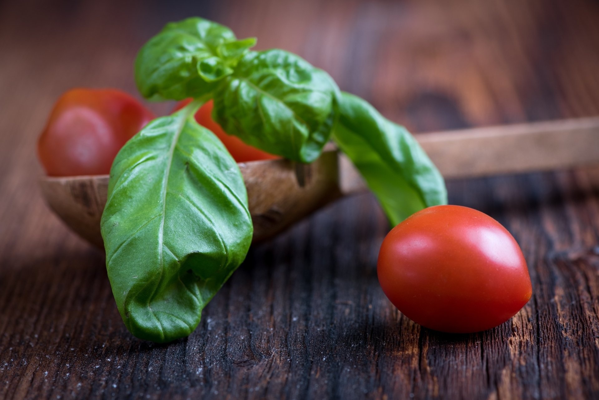 Basil wallpaper, High-definition image, Poster-worthy, Stunning visuals, 1920x1290 HD Desktop
