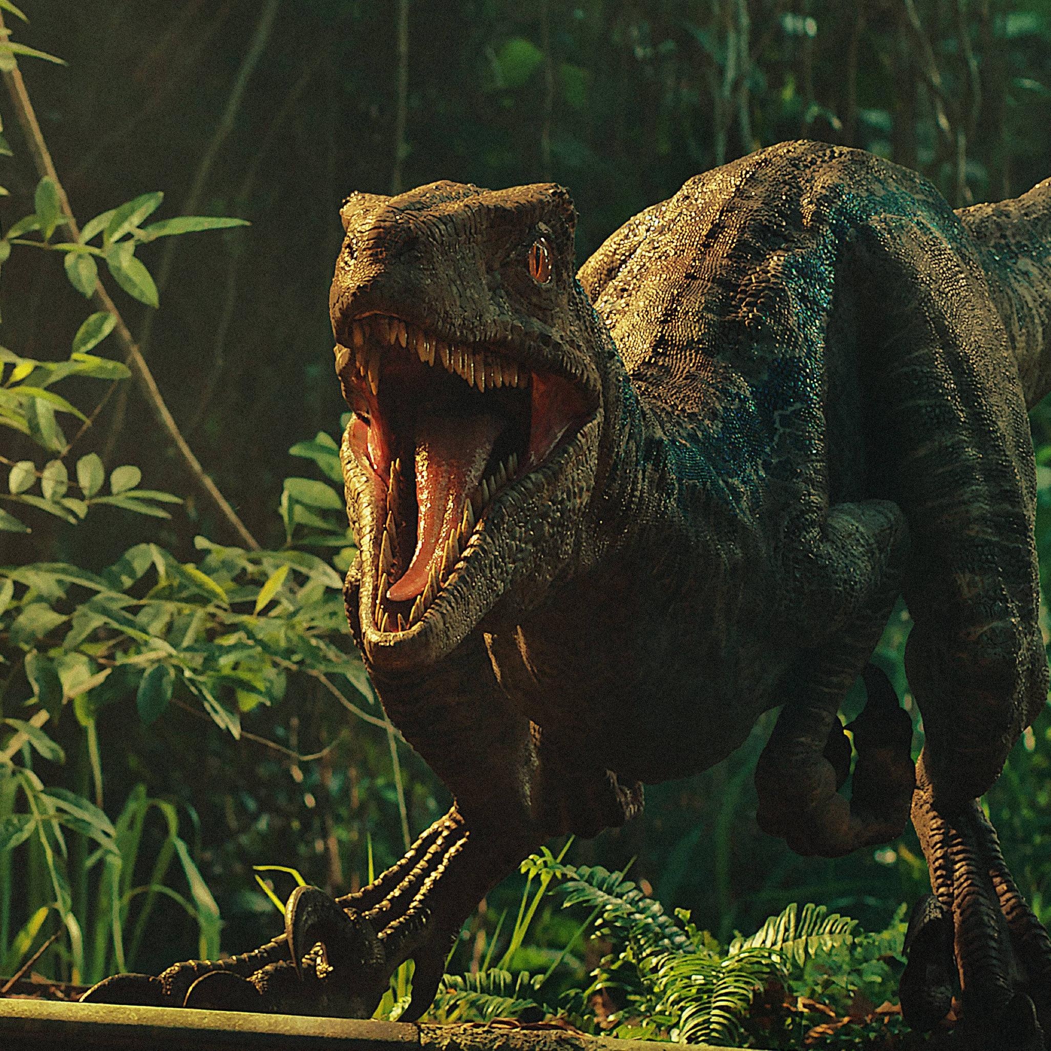 iPad backgrounds, Dinosaur kingdom, Digital illustrations, Tablet wallpapers, 2060x2060 HD Phone