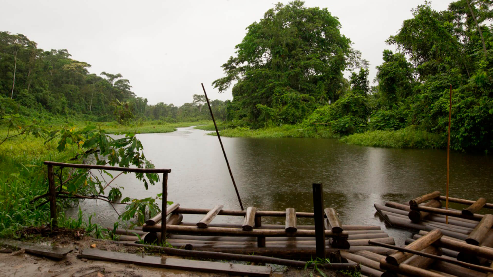 Manu National Park, Spirit nature culture, Responsible travel, Peru, 1920x1080 Full HD Desktop