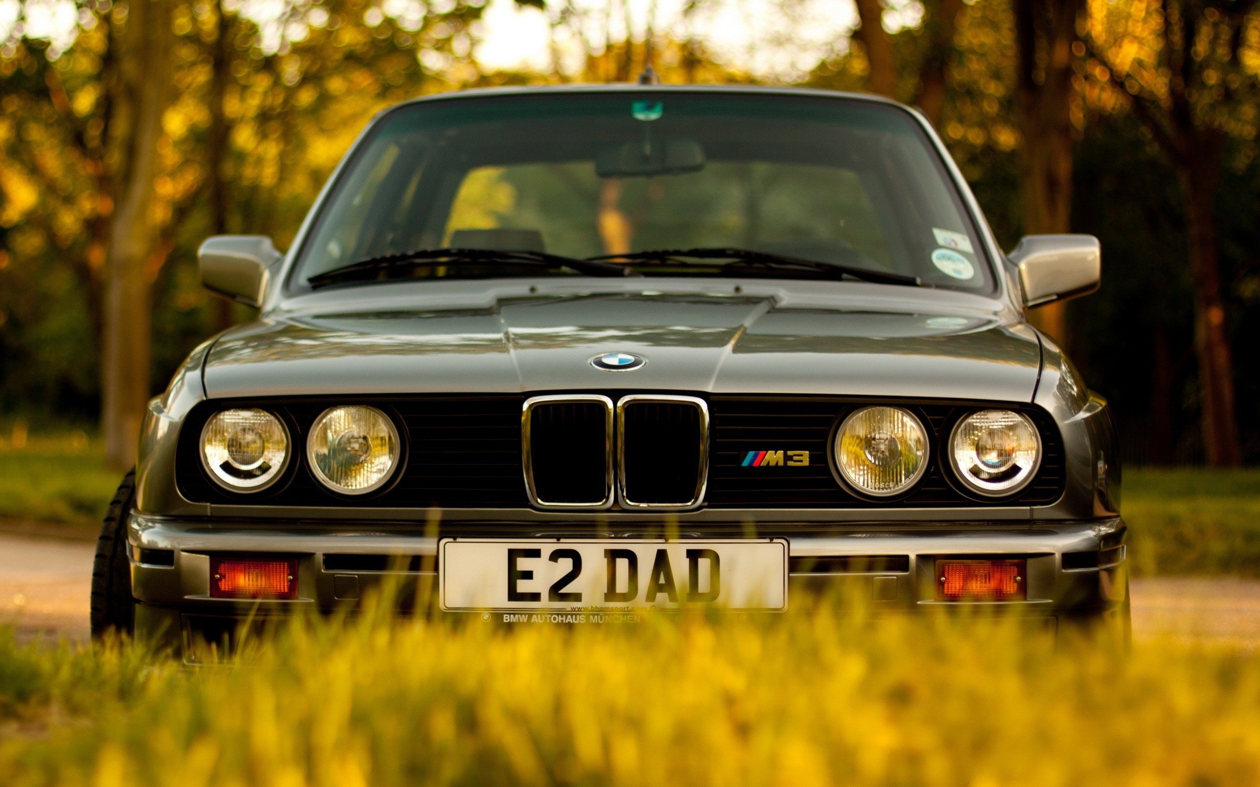 BMW E30 M3, E2 DAD license plate, golden grass foreground, HD Desktop wallpaper