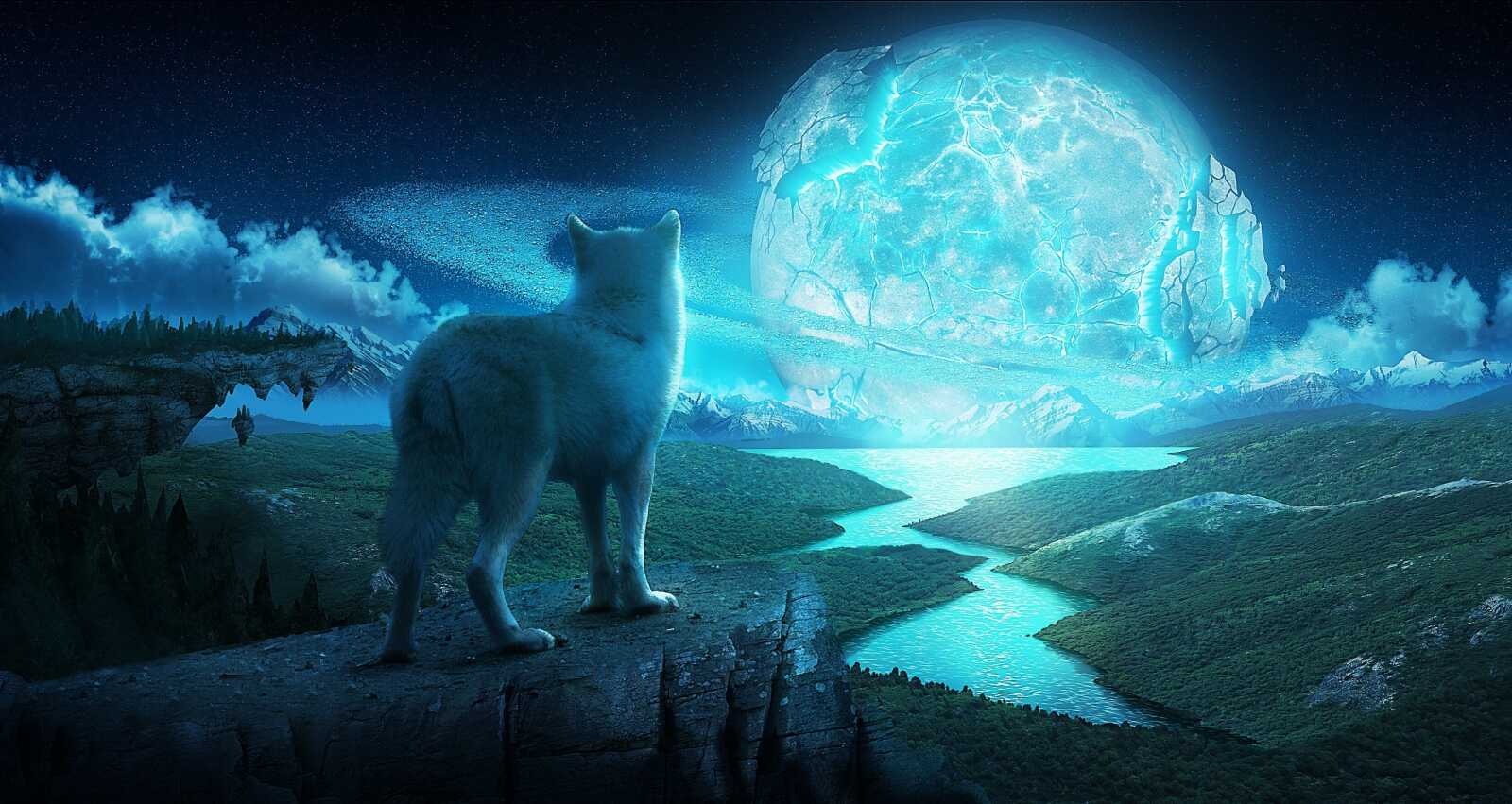 Wolf Wallpapers (122 images) - WallpaperCat
