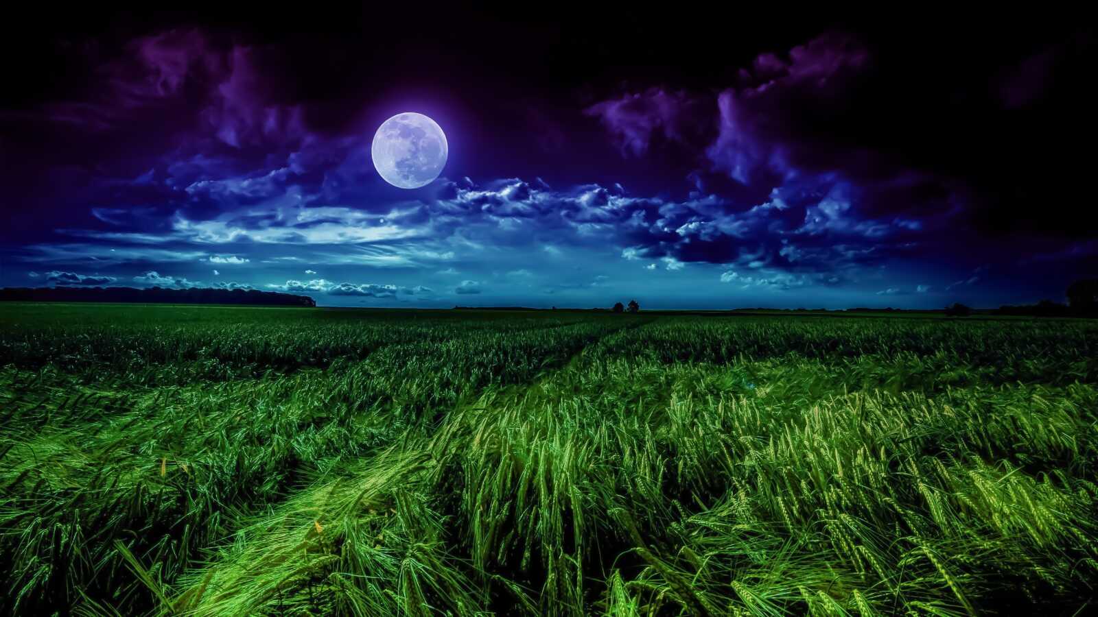 Moonlight Wallpapers (80 images) - WallpaperCat