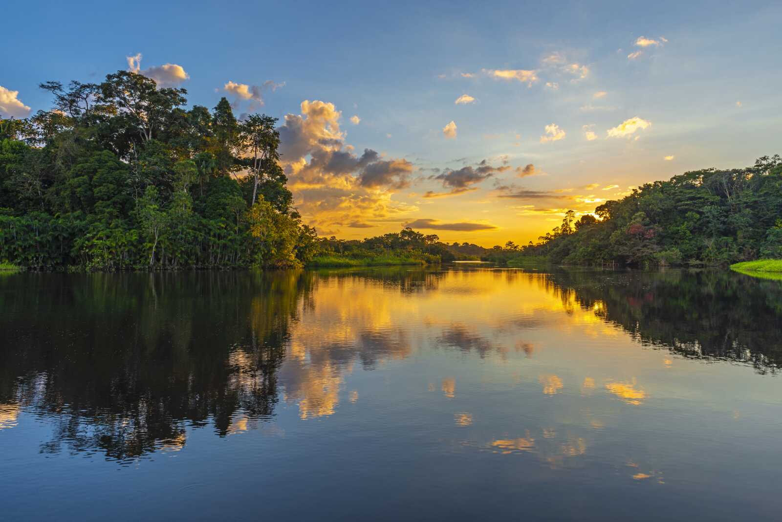 The Amazon River Wallpapers (27 images) - WallpaperCat