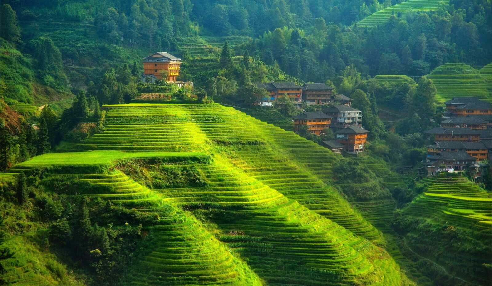 Banaue Rice Terraces Wallpapers (32 images) - WallpaperCat