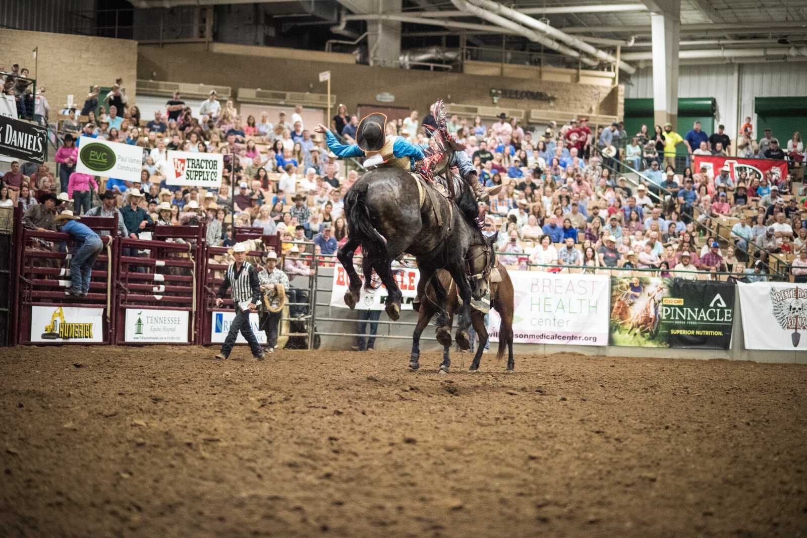 Rodeo Wallpapers (29 images) - WallpaperCat