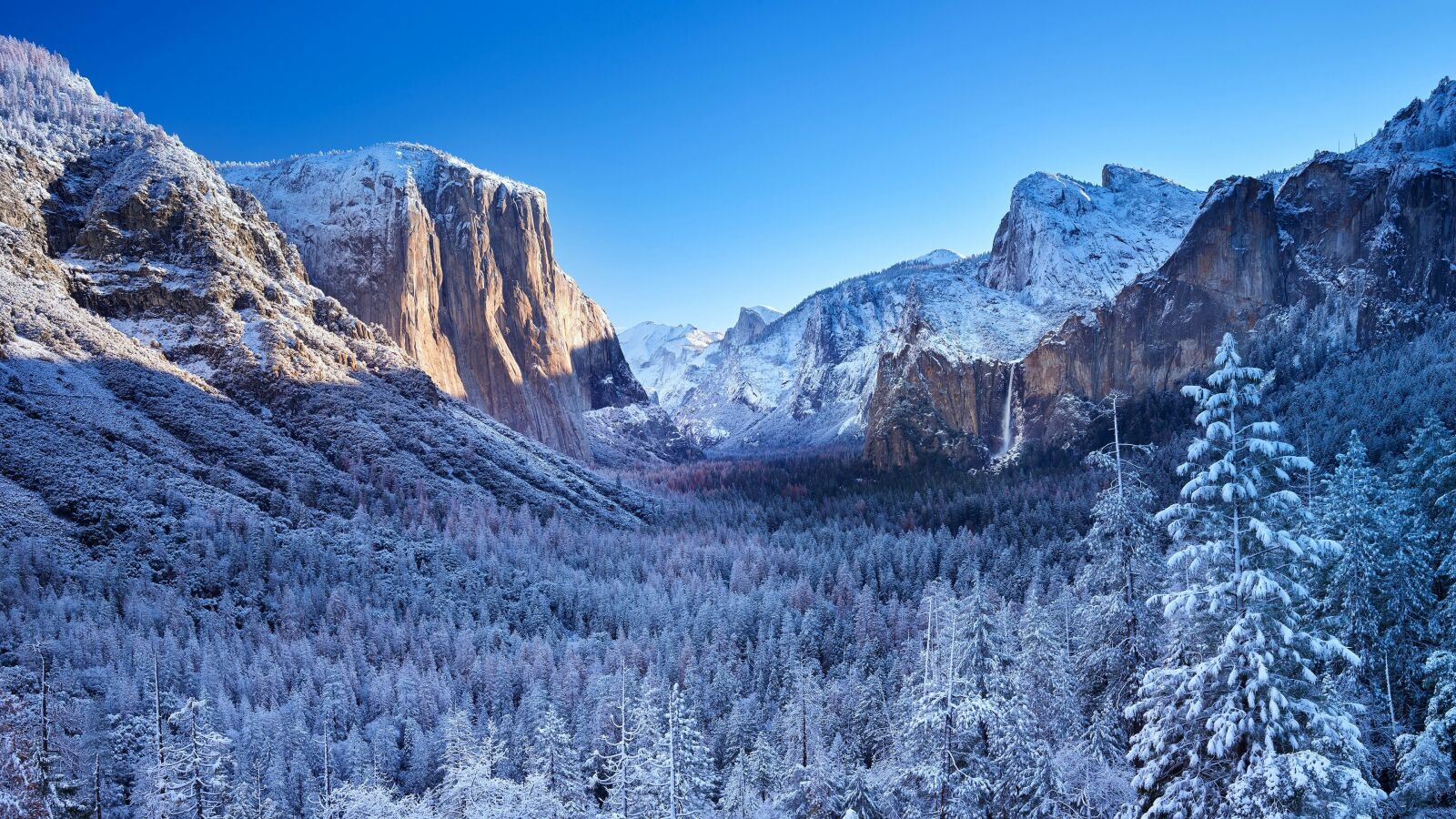 Yosemite Tunnel View