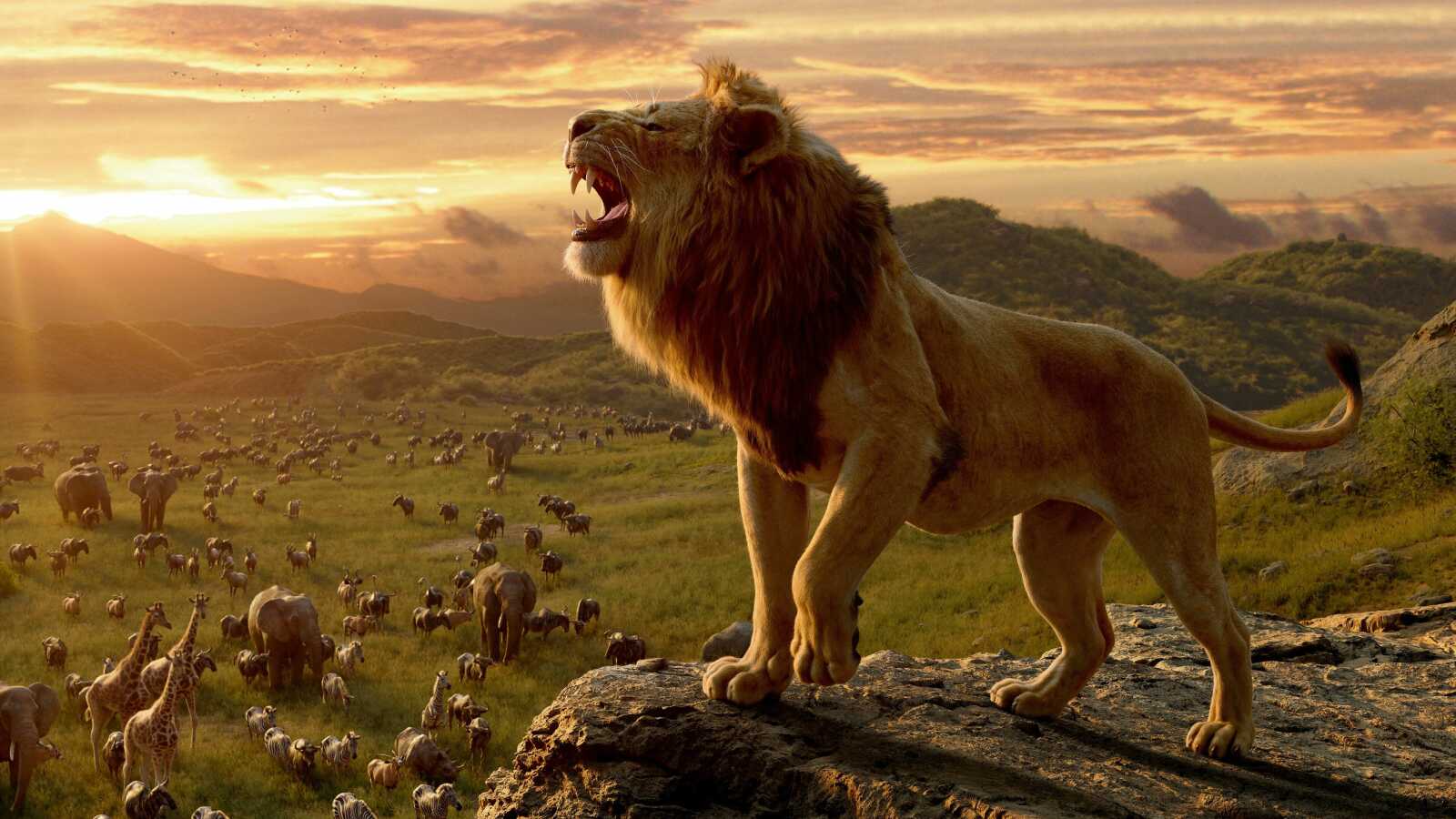 The Lion King 4K Wallpapers Collection
