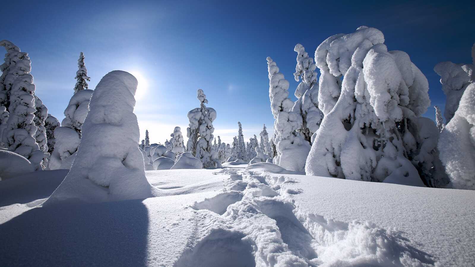 Finland Wallpapers (77 images) - WallpaperCat