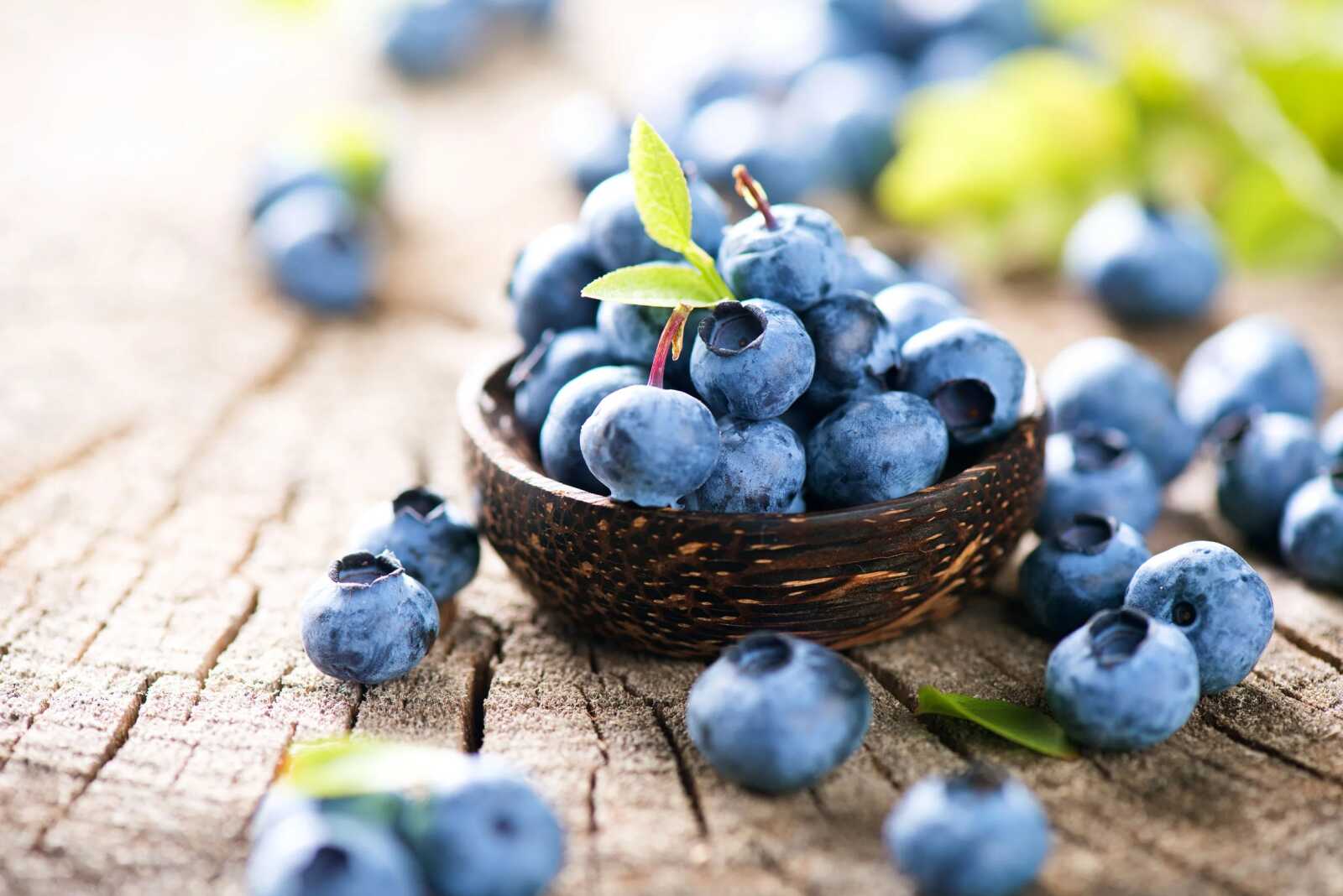 Blueberry Wallpapers (59 images) - WallpaperCat