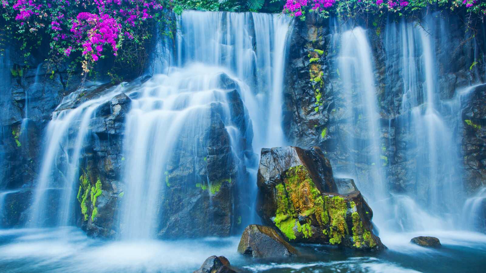 Cascading Tropical Waterfall
