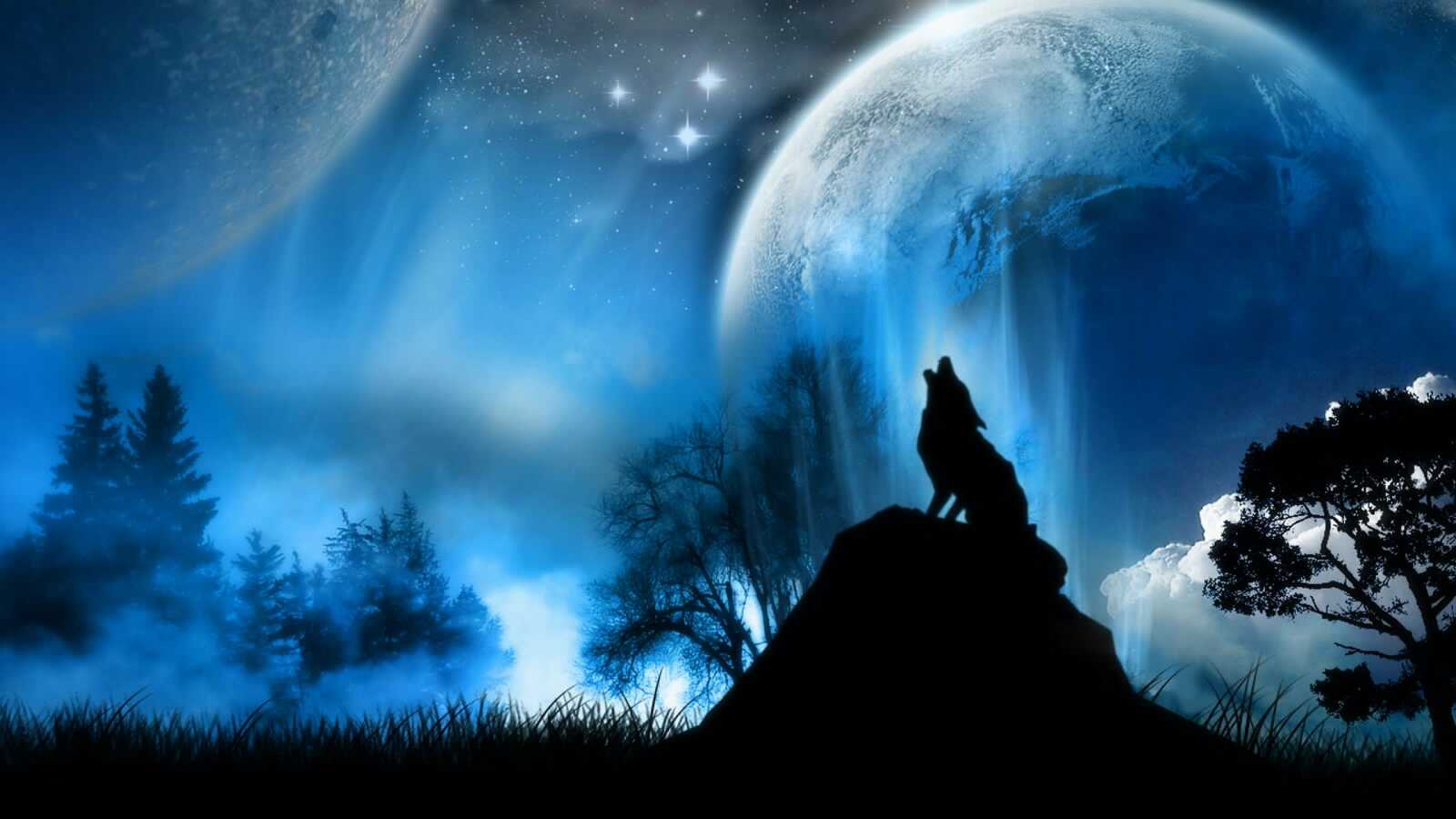 Howling Wolf 4K Wallpapers Collection