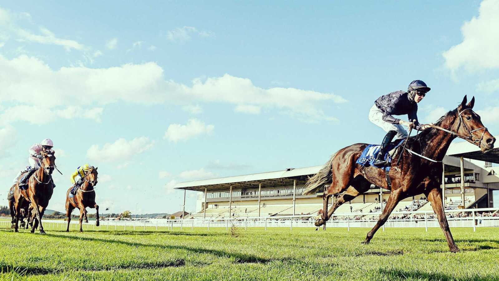 Horse Racing Wallpapers (65 images) - WallpaperCat