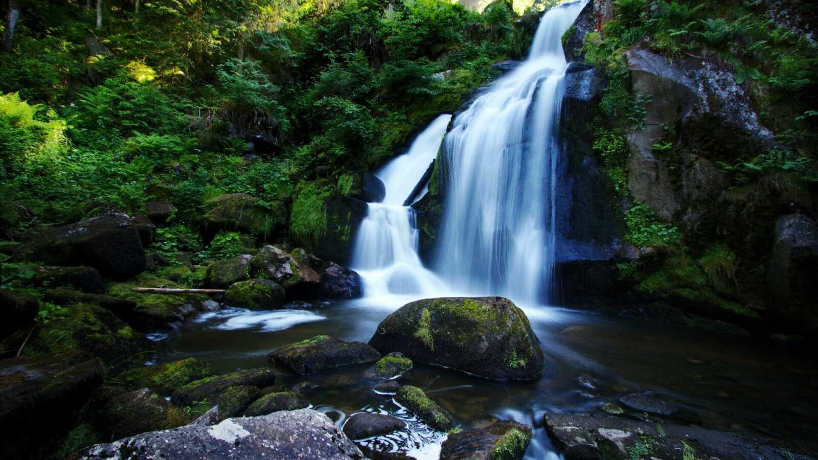 Triberg Waterfall Cascade