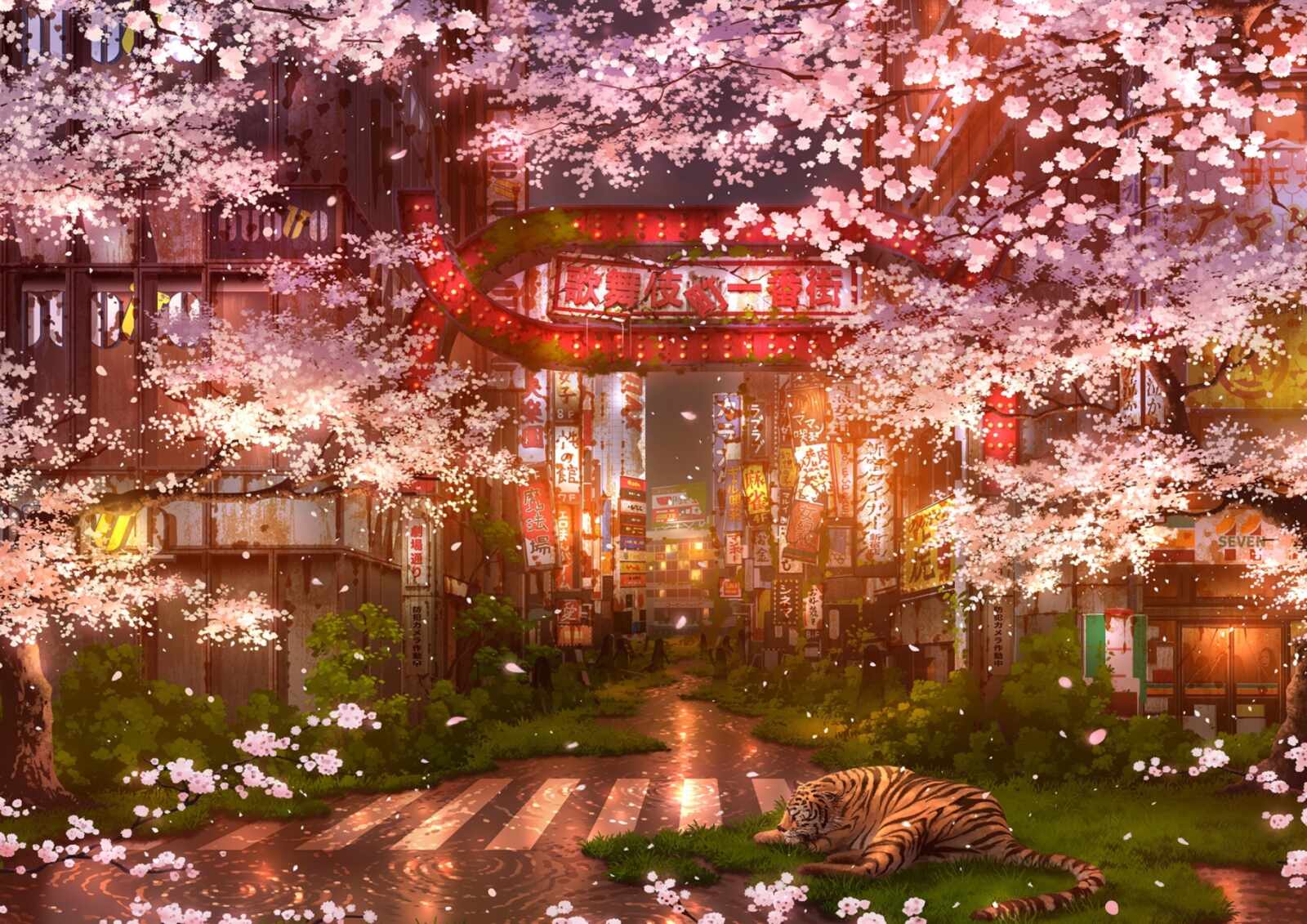 Desktop Hd Cherry Blossom Anime - Cherry Blossom