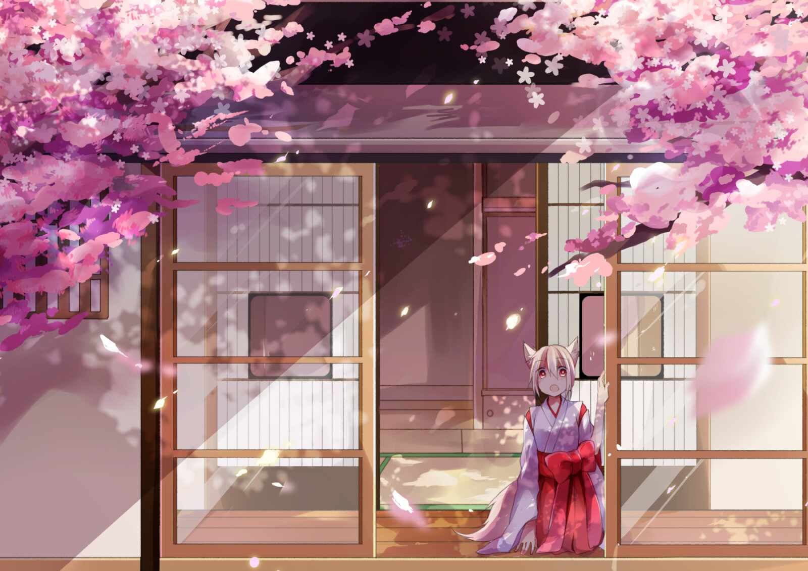 Desktop Hd Cherry Blossom Anime - Cherry Blossom