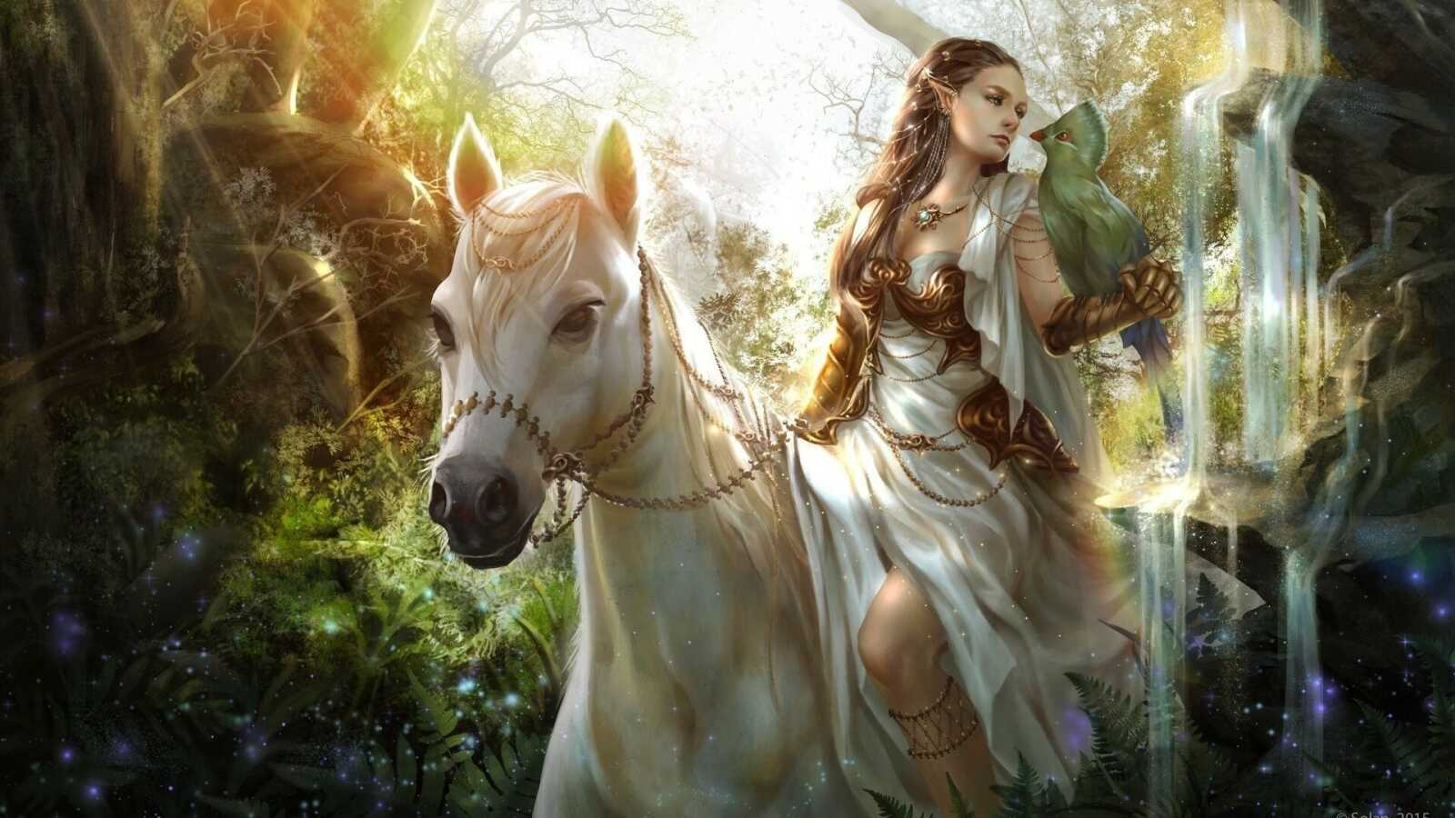 Elf Wallpapers (52 images) - WallpaperCat