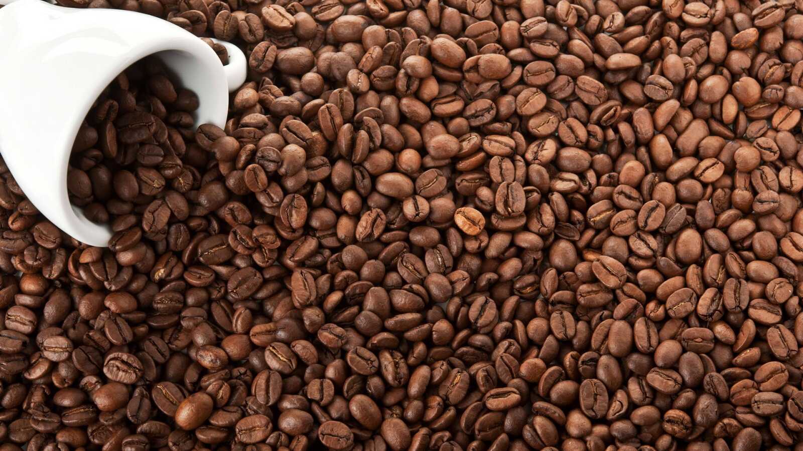 Seeds 4K Wallpapers Collection