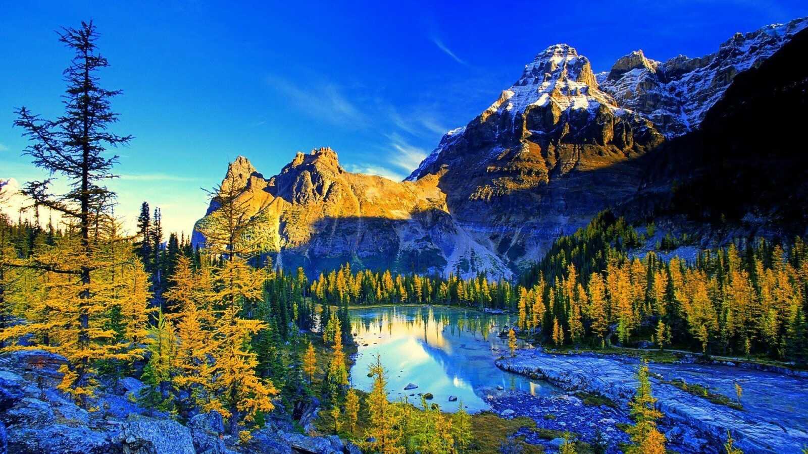 Scenery Wallpapers (64 images) - WallpaperCat