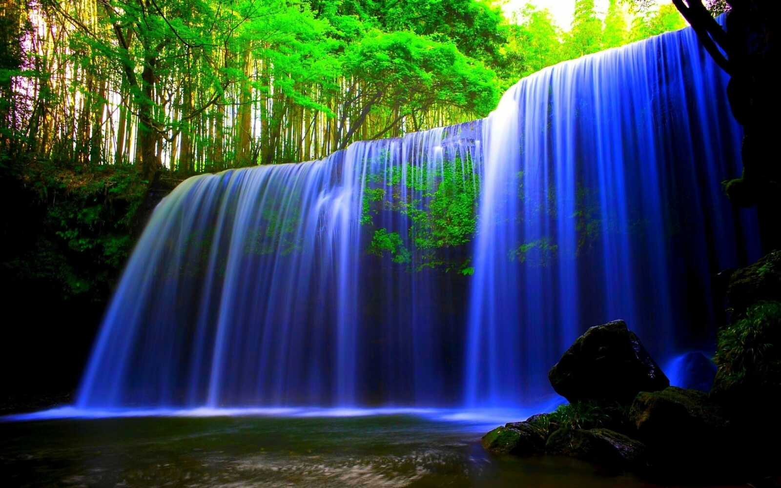 Hyacinth 4K Wallpapers Collection