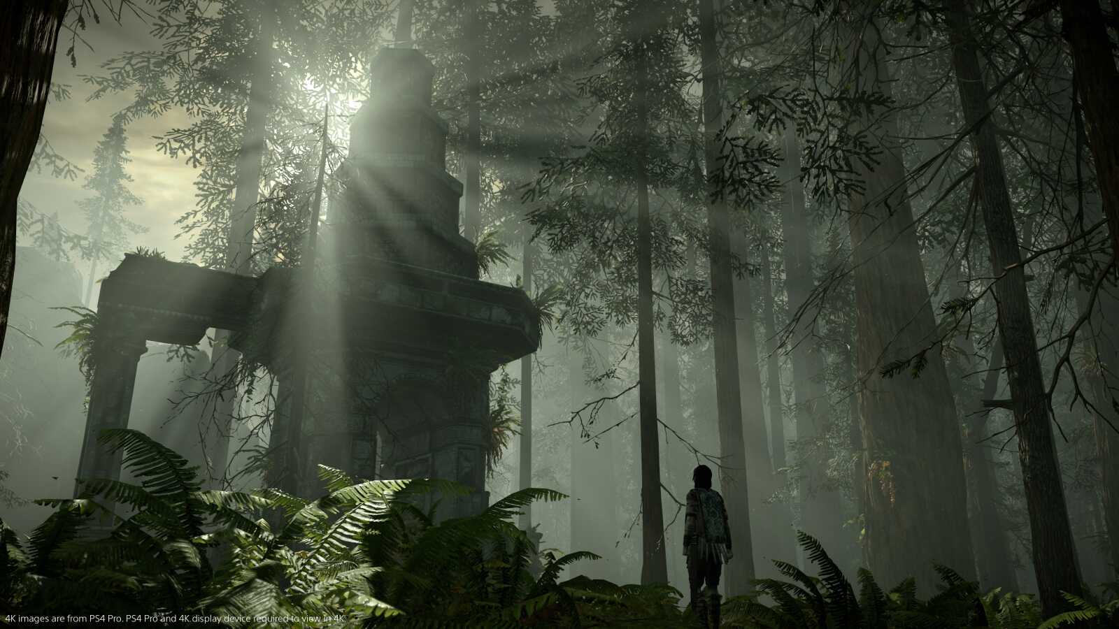 Desktop 4K Shadow Of The Colossus - AMOLED...