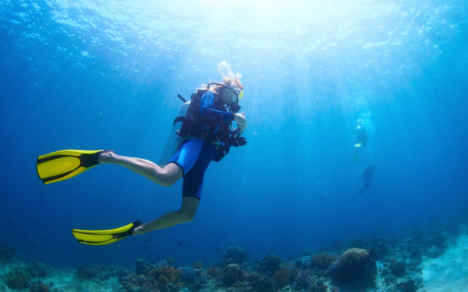 Diving Wallpapers (43 images) - WallpaperCat